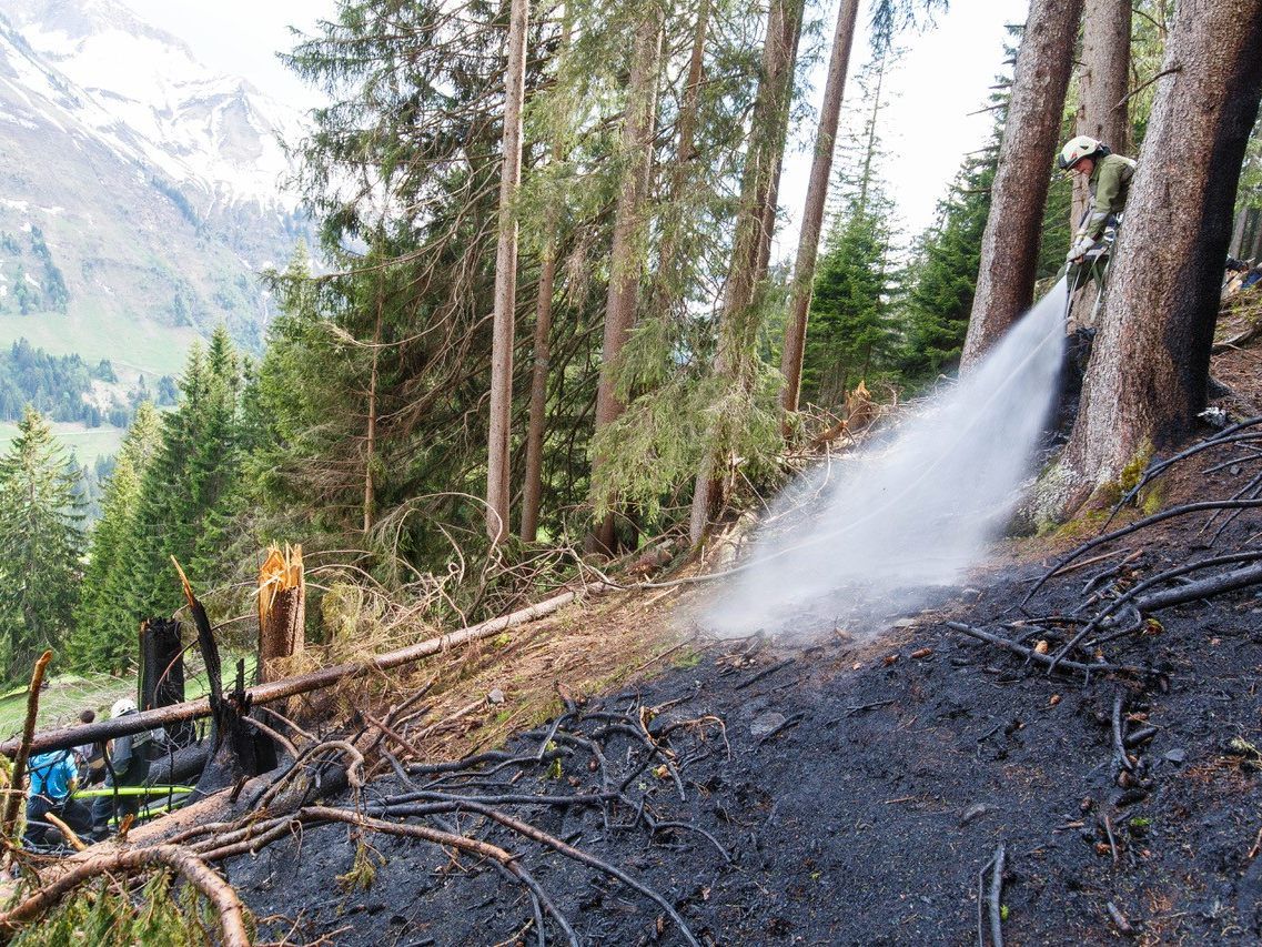 Die Feuerwehr im Kampf gegen den Waldbrand