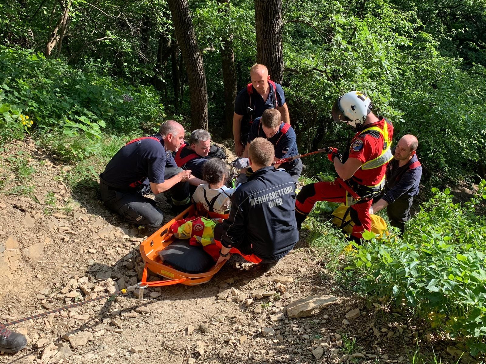 Die Wiener Berufsrettung musste die verletzt Frau am Leopoldsberg bergen. Die Wiener Berufsrettung musste die verletzt Frau am Leopoldsberg bergen.