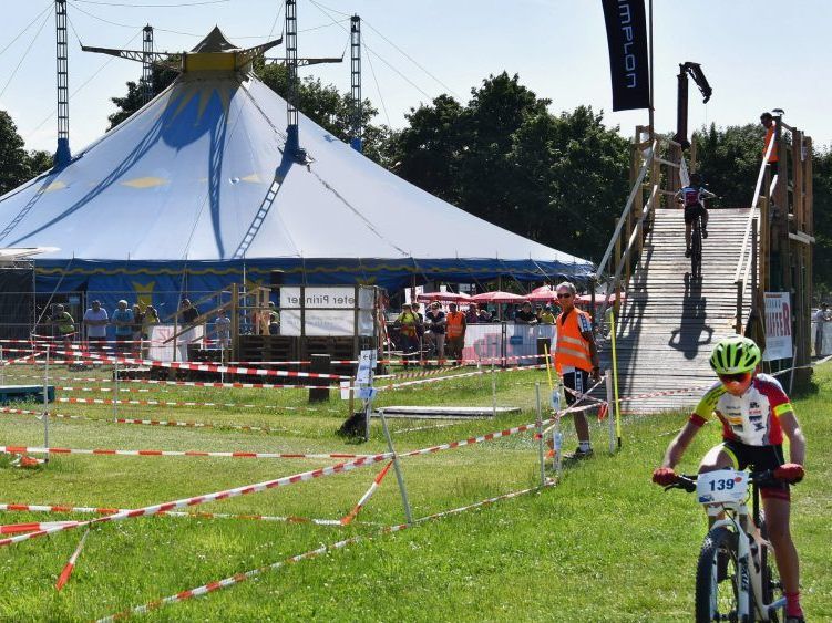Das Zirkuszelt steht während der Sommermonate am Stedepark in Hard.