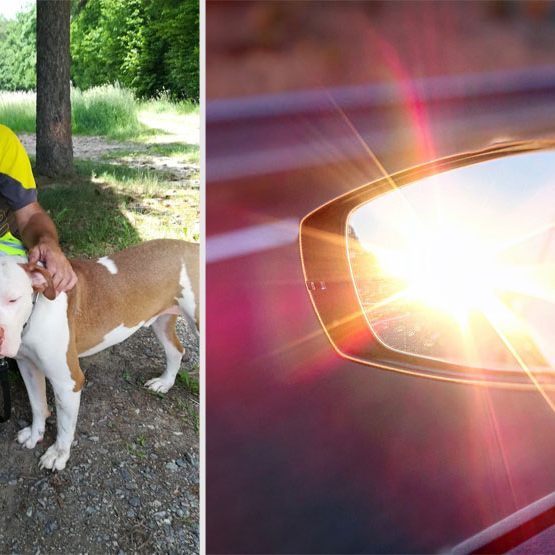 Der gerettete Hund Sky mit seinem Lebensretter Peter Hasler