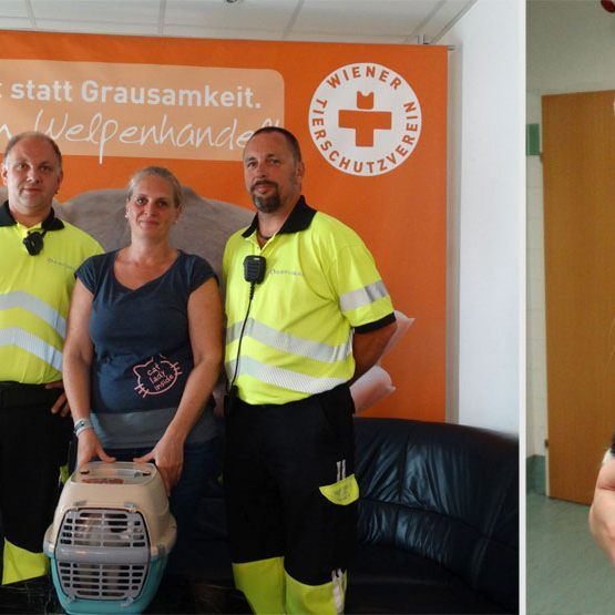 "Sissy" wurde aus dem Kaisermühlentunnel gerettet