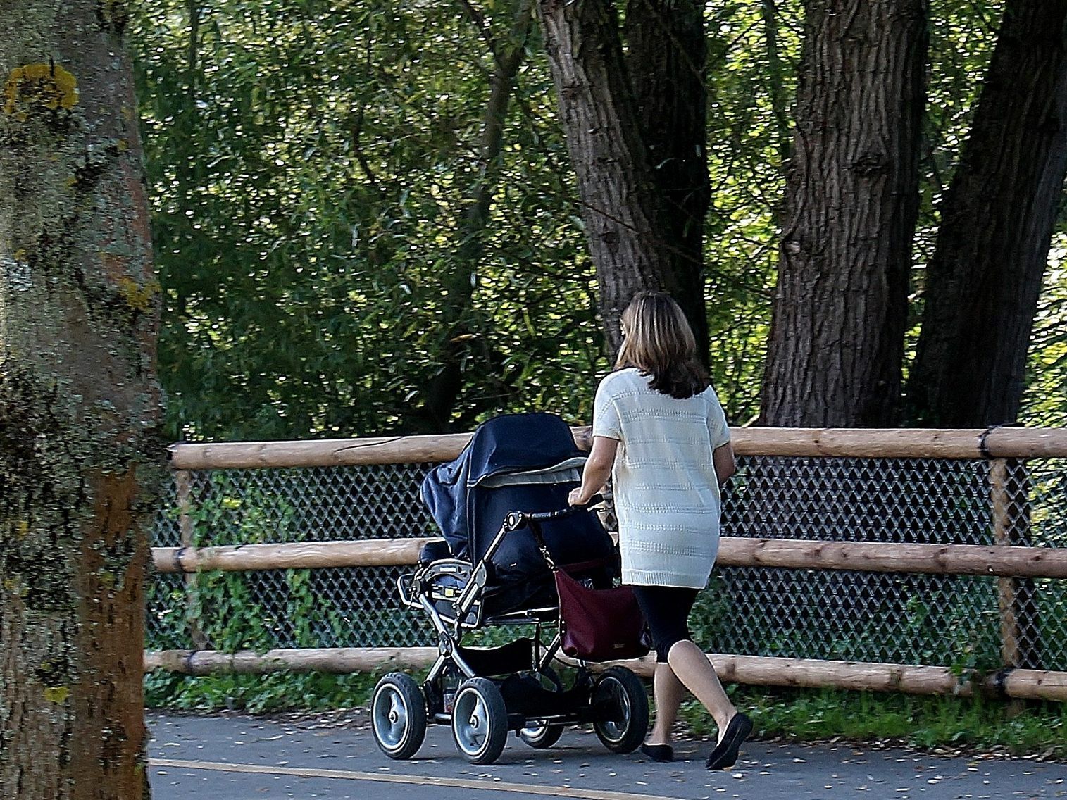 Eine Mutter mit ihrem Baby im Kinderwagen wurde attackiert Eine Mutter mit ihrem Baby im Kinderwagen wurde attackiert