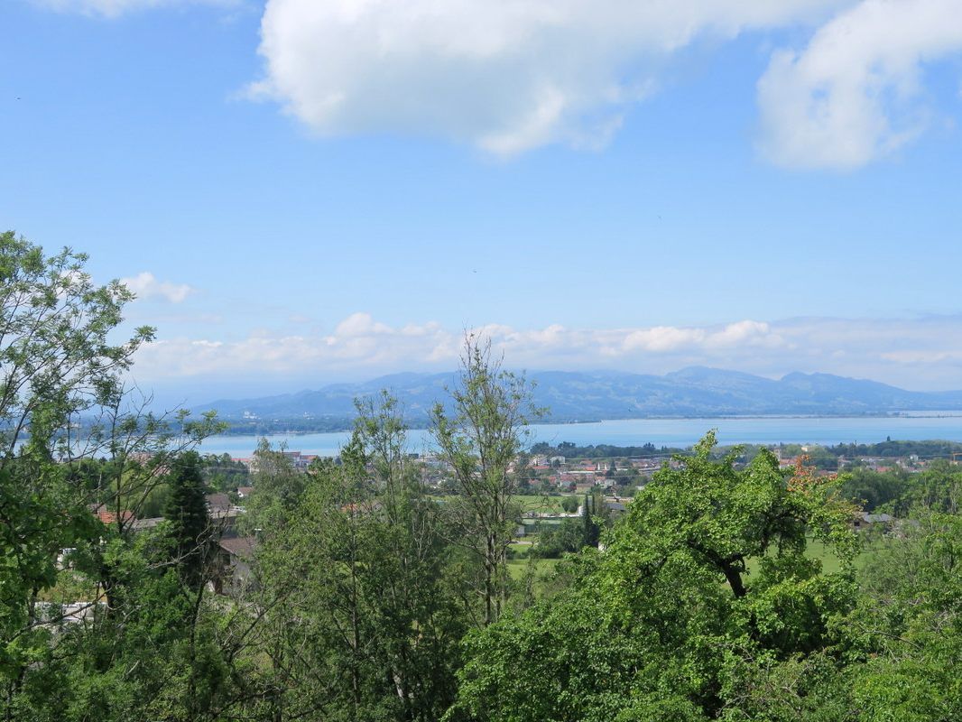 Sartpunkt mit Traumaussicht am Halbenstein Sartpunkt mit Traumaussicht am Halbenstein