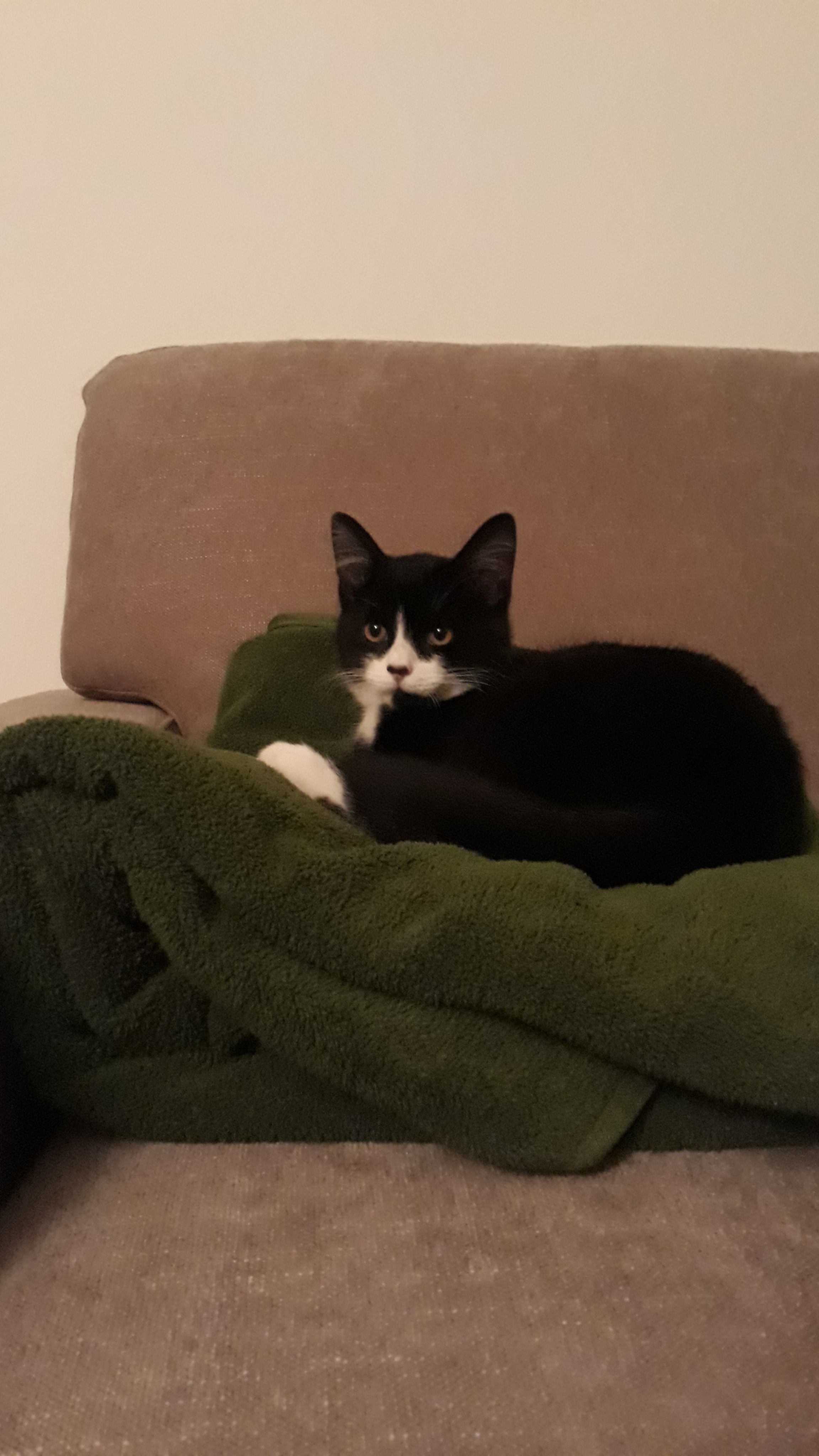 Samson