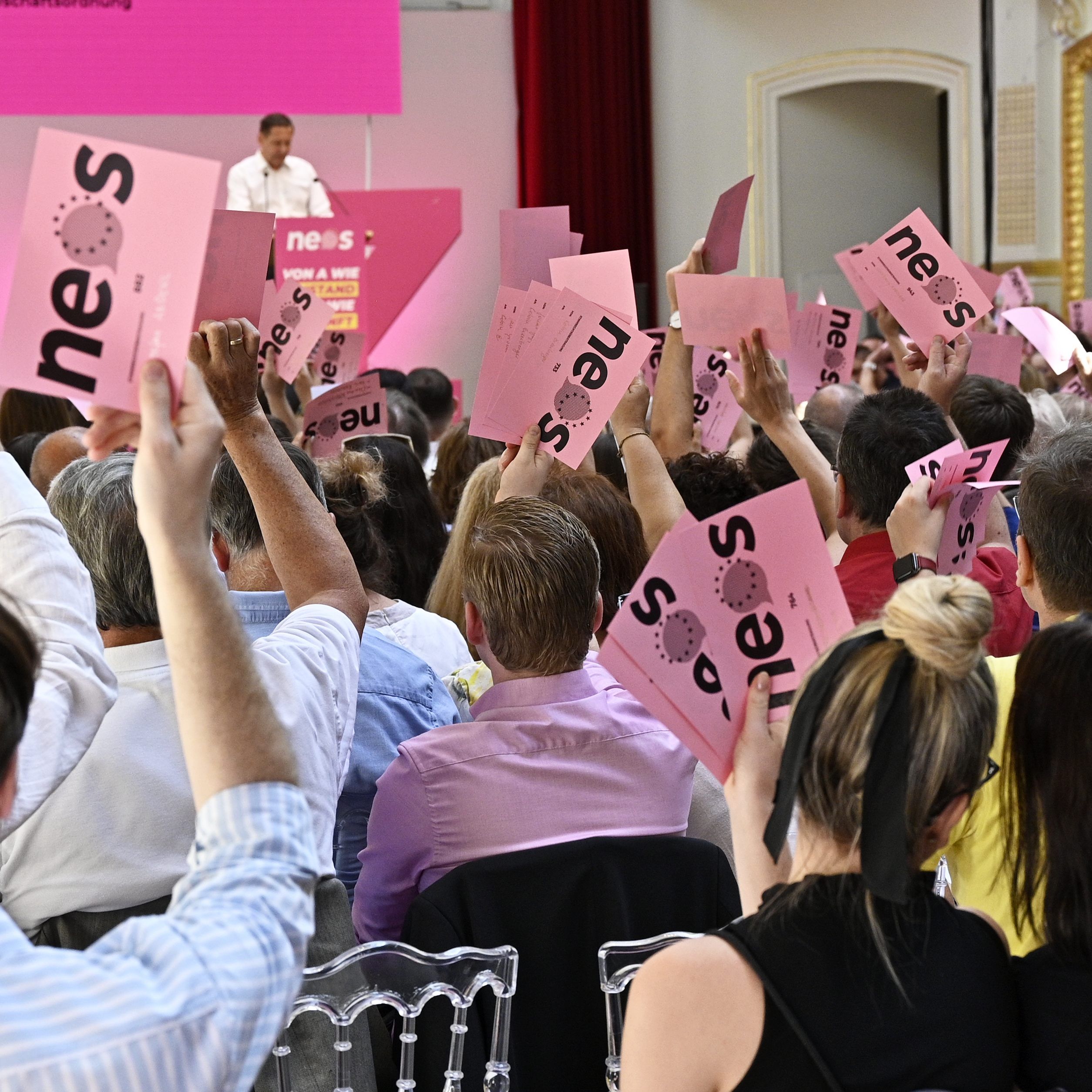 NEOS-Bundesliste wurde gewählt