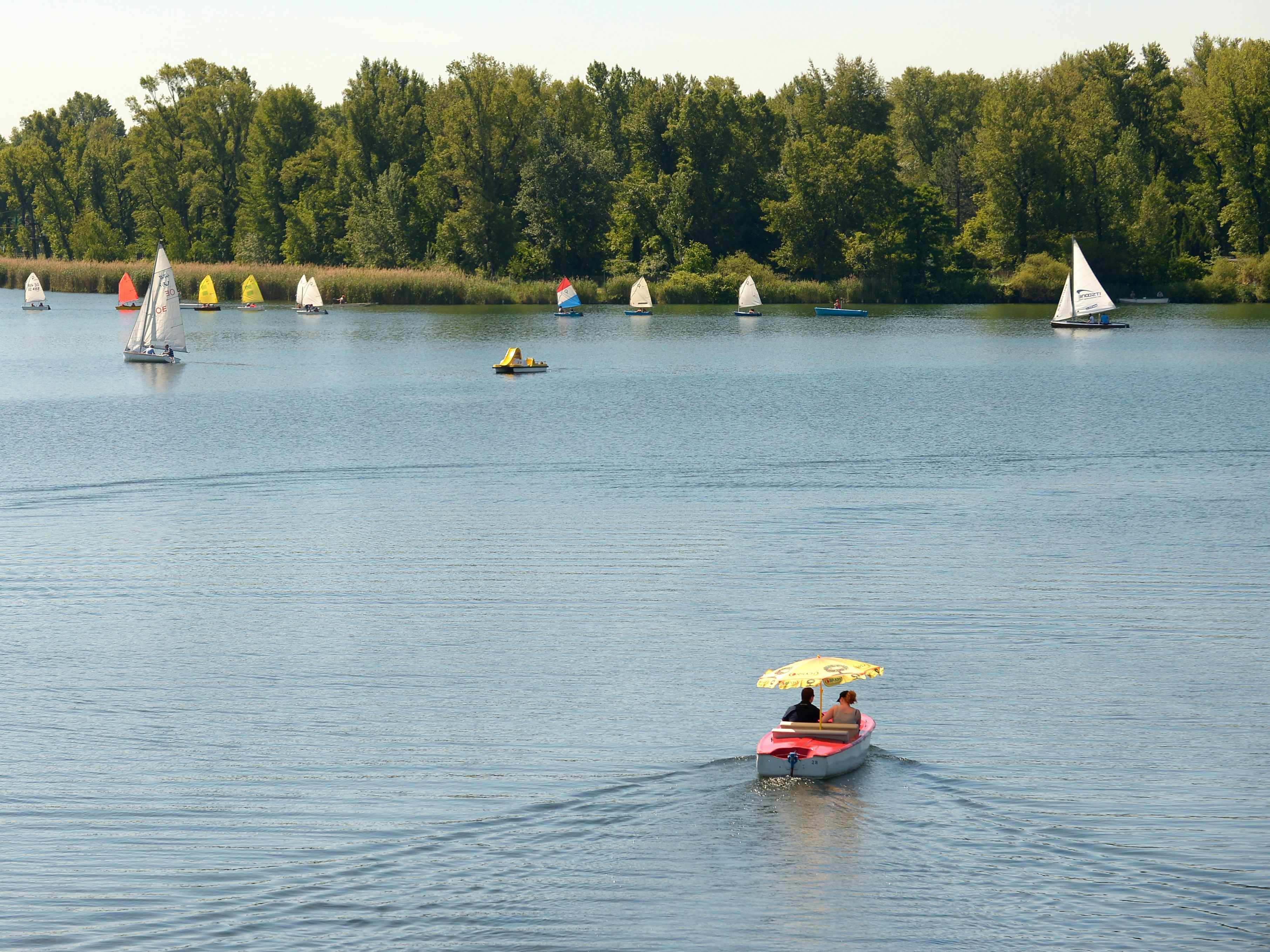 Im Strandbad Alte Donau erlitt der Mann einen Herz-Kreislauf-Zusammenbruch.