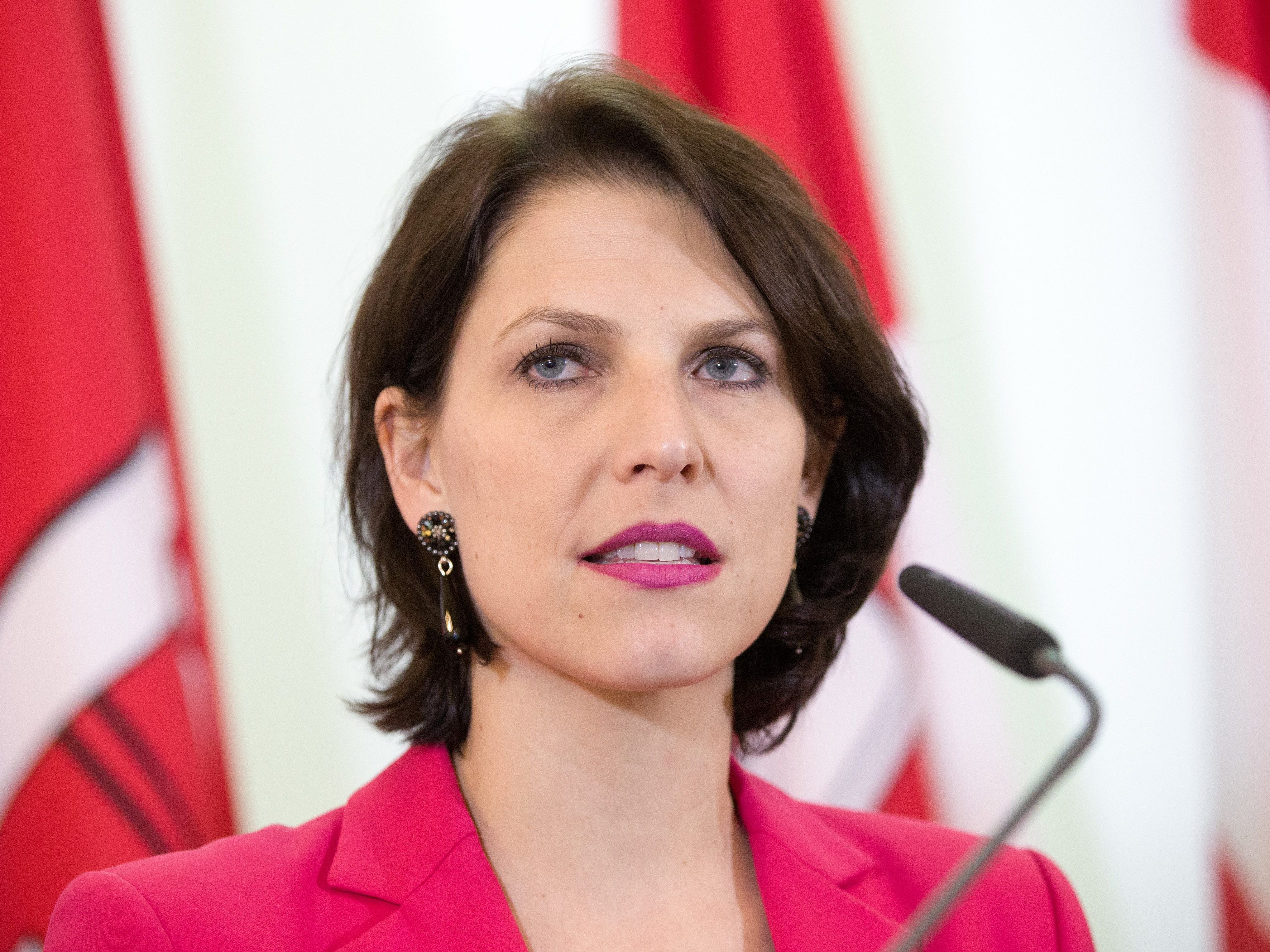 Edtstadler will die Dinge anders als ihr Vorgänger angehen. Edtstadler will die Dinge anders als ihr Vorgänger angehen.