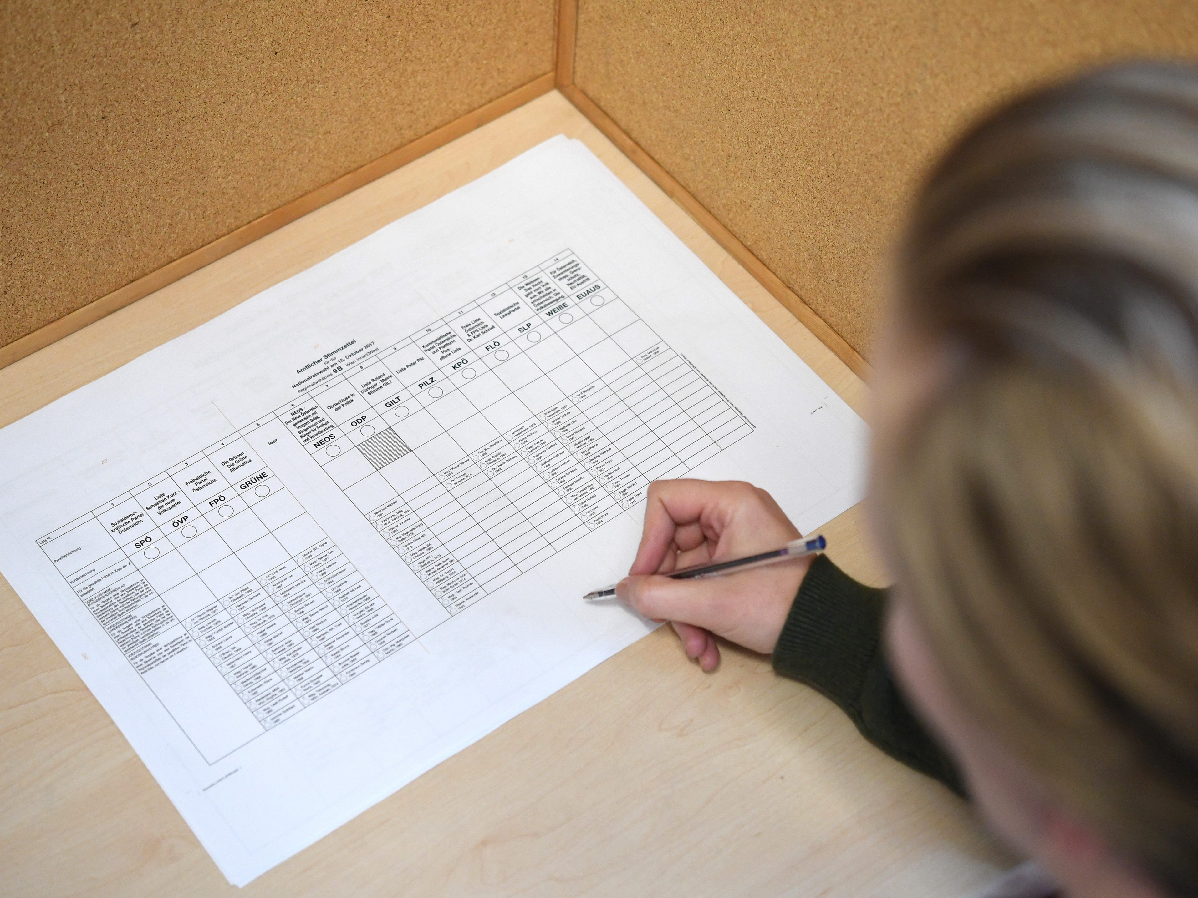 Wie kommen die Parteien auf den Stimmzettel?