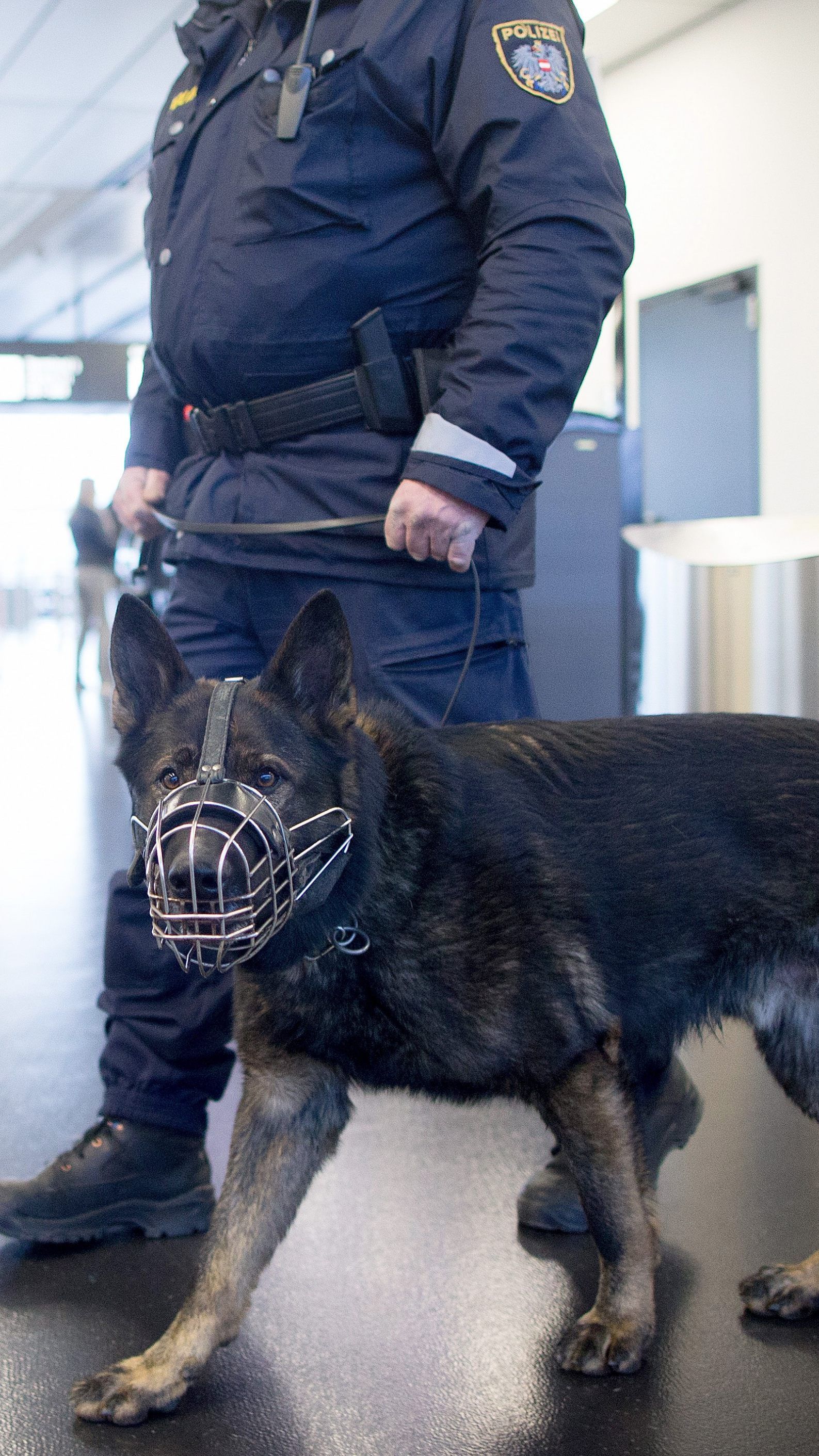 Erstmals werden bei der Polizei Personensuchhunde ausgebildet.