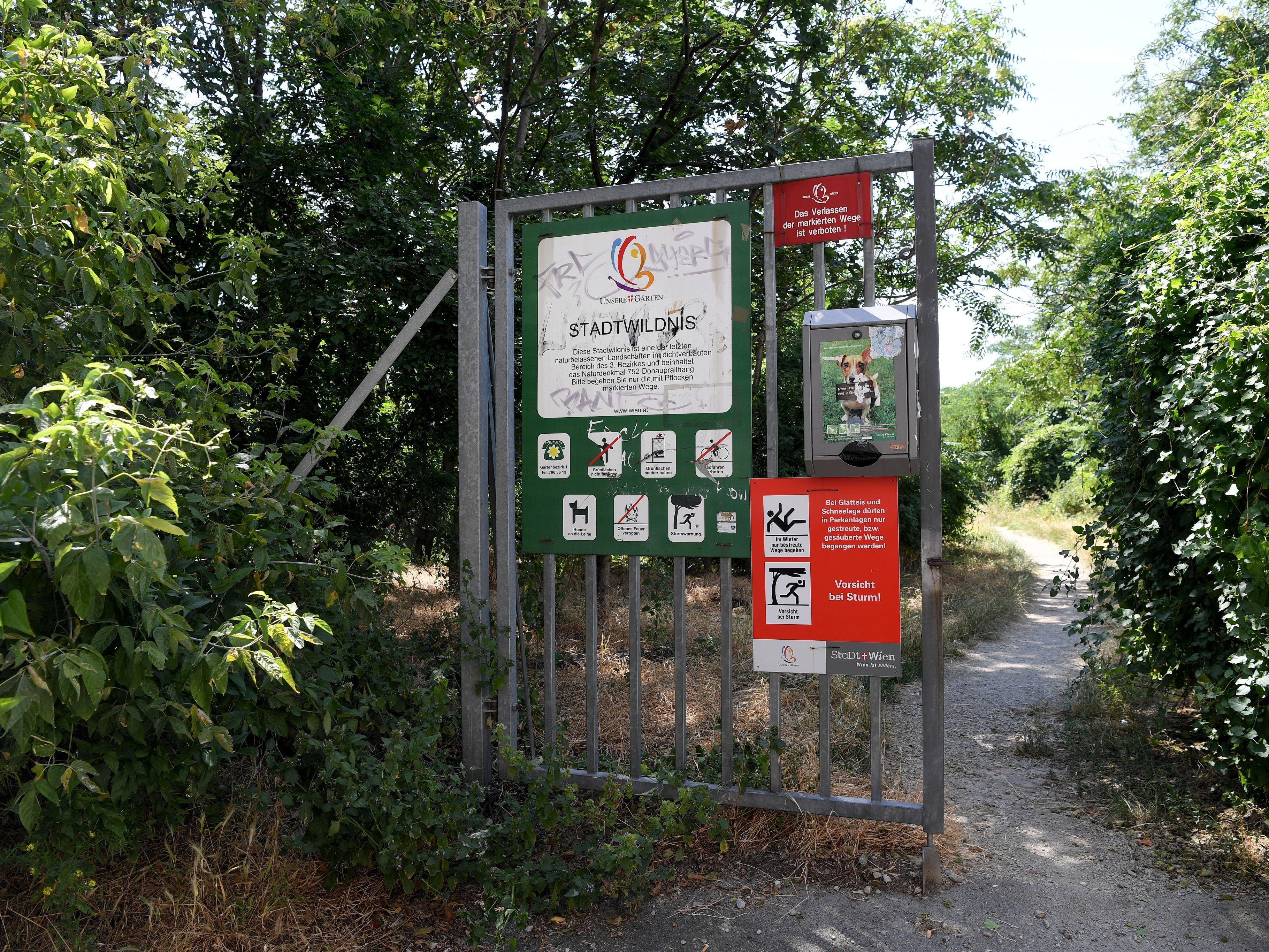 Am Montag wurde die Leiche in dem Wiener Park entdeckt. Am Montag wurde die Leiche in dem Wiener Park entdeckt.