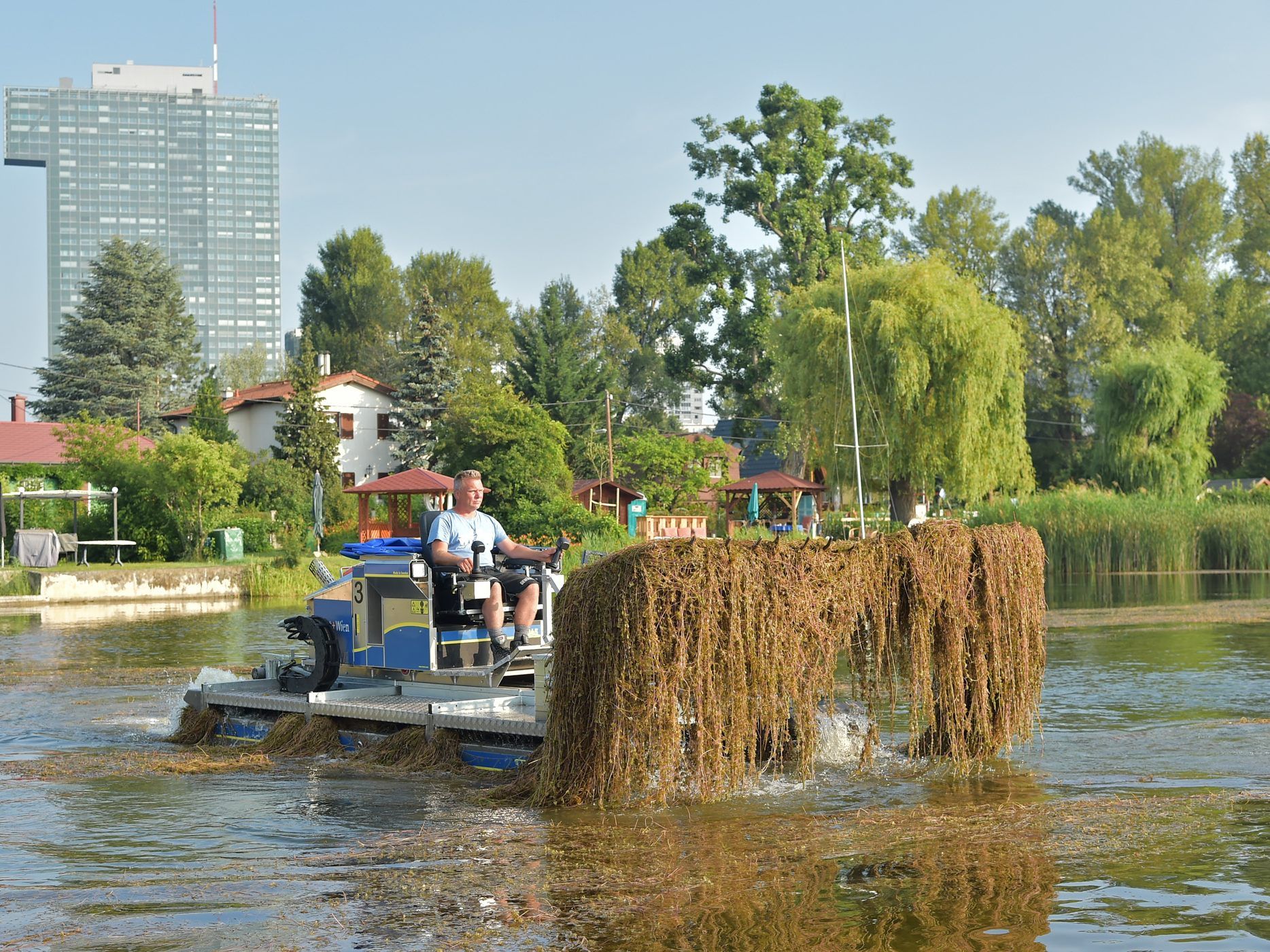 Mähboote werden zum Schneiden der Pflanzen und zum Sammeln des Schnittguts eingesetzt.