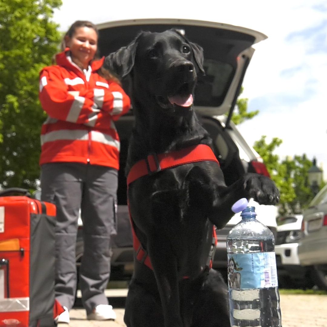 Das Video von Suchhündin "Nala" geht um die Welt.