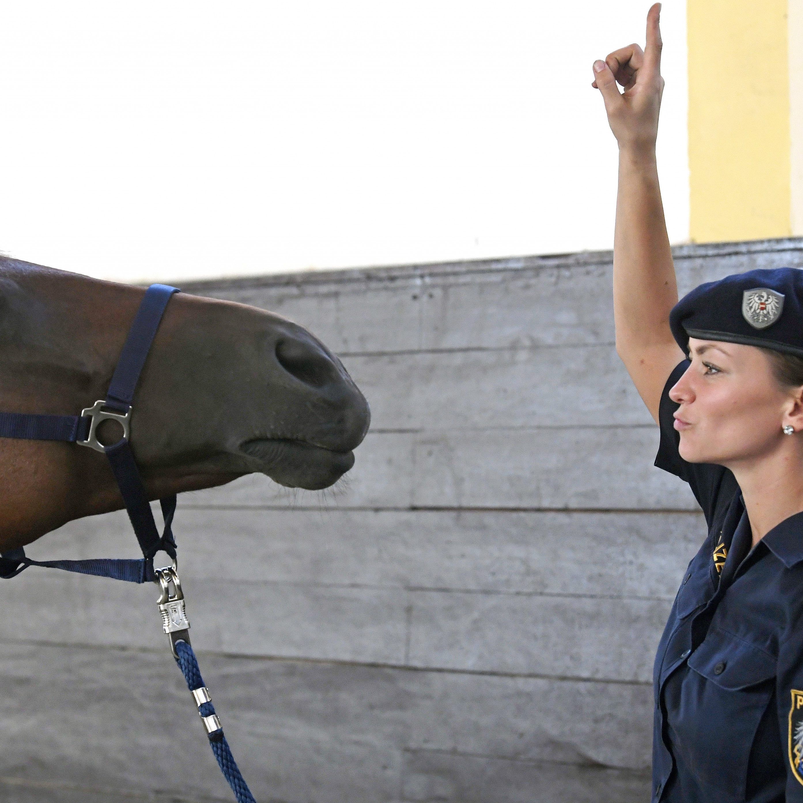 Die Zukunft der Reiterstaffel ist weiterhin ungewiss.