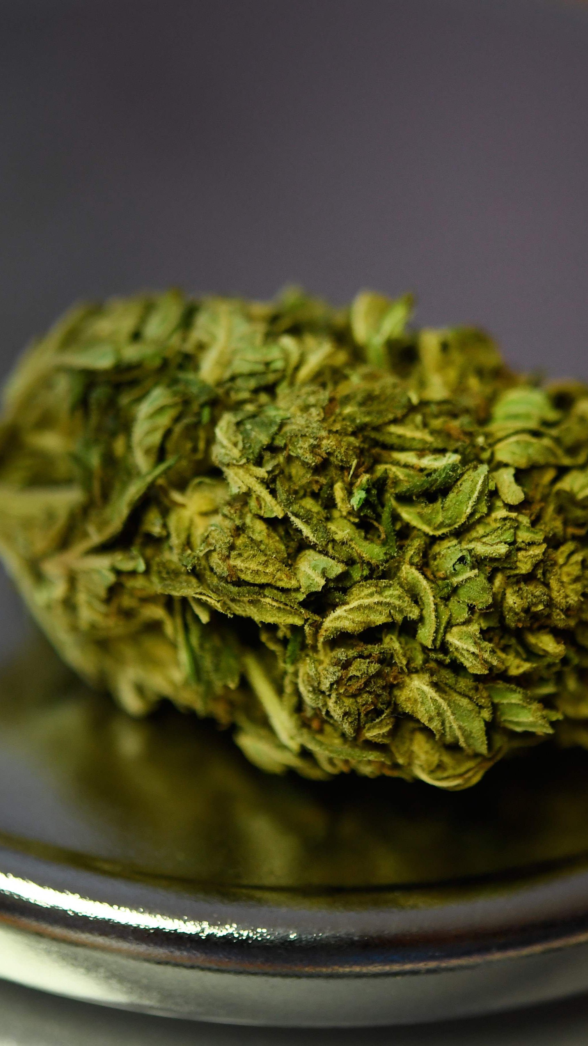 Nach einem unvergleichbaren Hoch könnten die Cannabis-Aktien schnell wieder fallen.