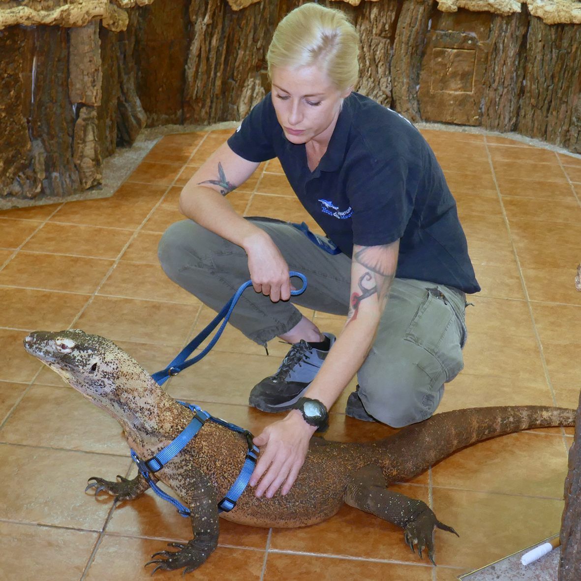 Im Haus des Meeres wird fleißig für den Umzug trainiert.