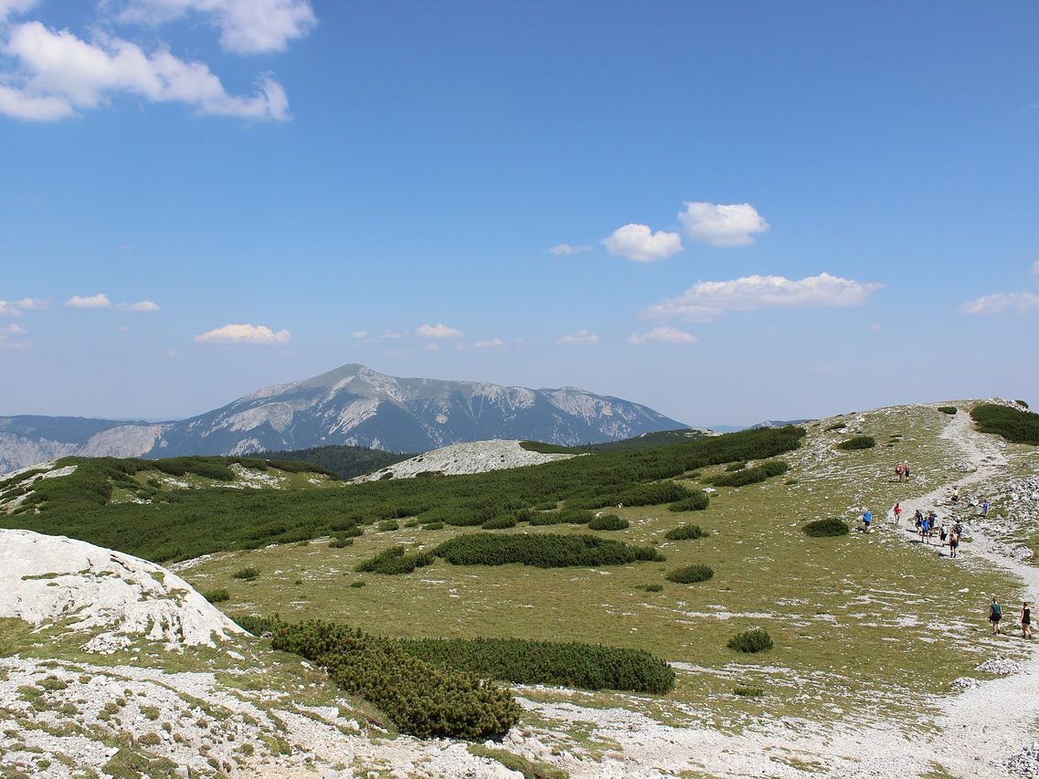 Beim Abstieg kam der Mann ins Stolpern und stürzte einen Abhang in felsdurchsetztes Gelände ab