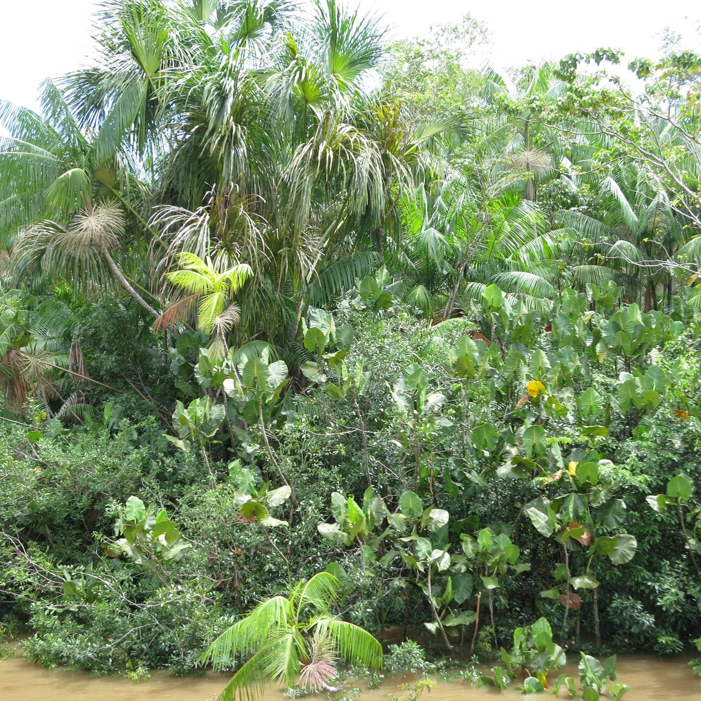 Die SPÖ und Umweltschutzorganisationen warnen unter anderem vor der Naturzerstörung.