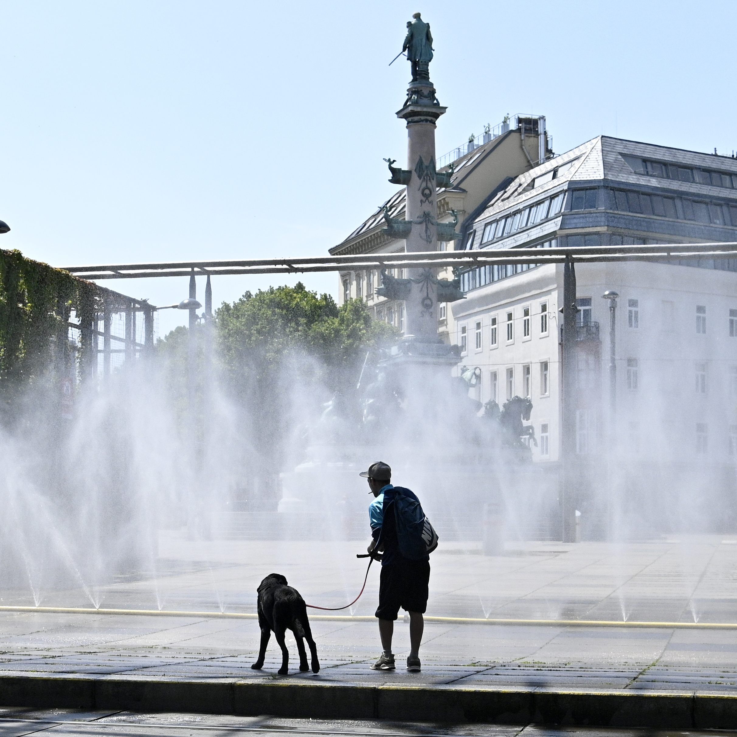 In Wien gibt es auch im Sommer einige kühle Orte.