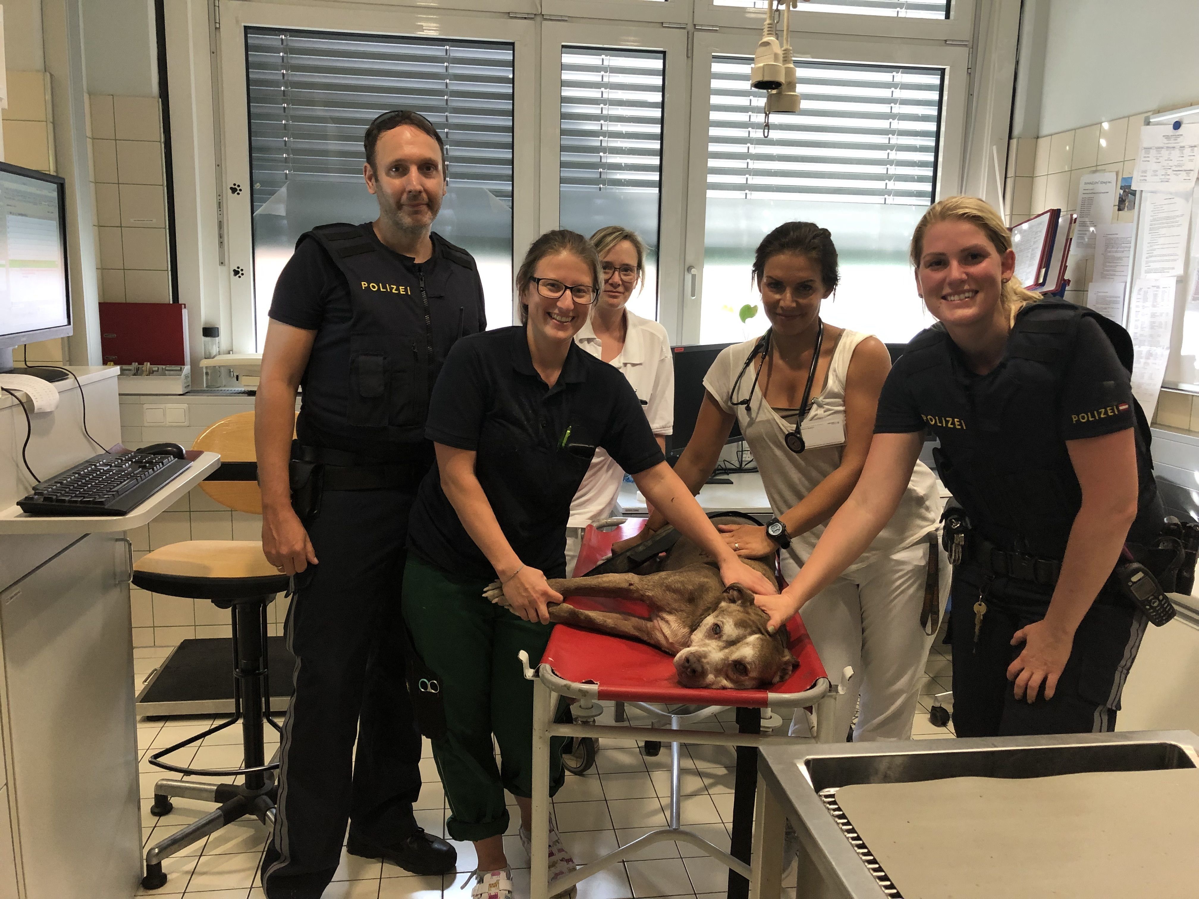 Der Hund konnte es dem brühend heißen Auto gerettet werden. Der Hund konnte es dem brühend heißen Auto gerettet werden.