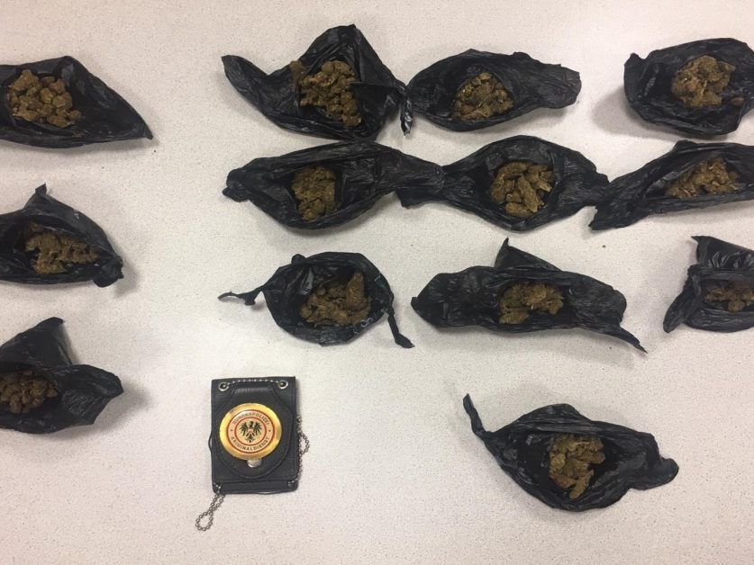 Fünf Cannabis-Bunker wurden im Zuge des Schwerpunktes ausgehoben. Fünf Cannabis-Bunker wurden im Zuge des Schwerpunktes ausgehoben.