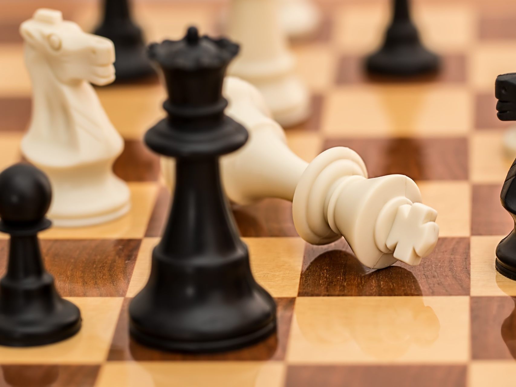 Von 17. bis 24. August finden die Vienna Chess Open statt.