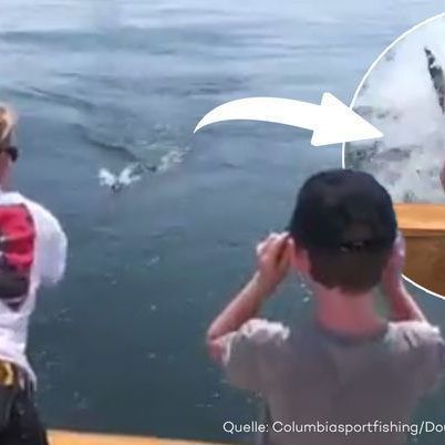 "Er hat sogar das Boot erwischt", so ein schockierter Angler.