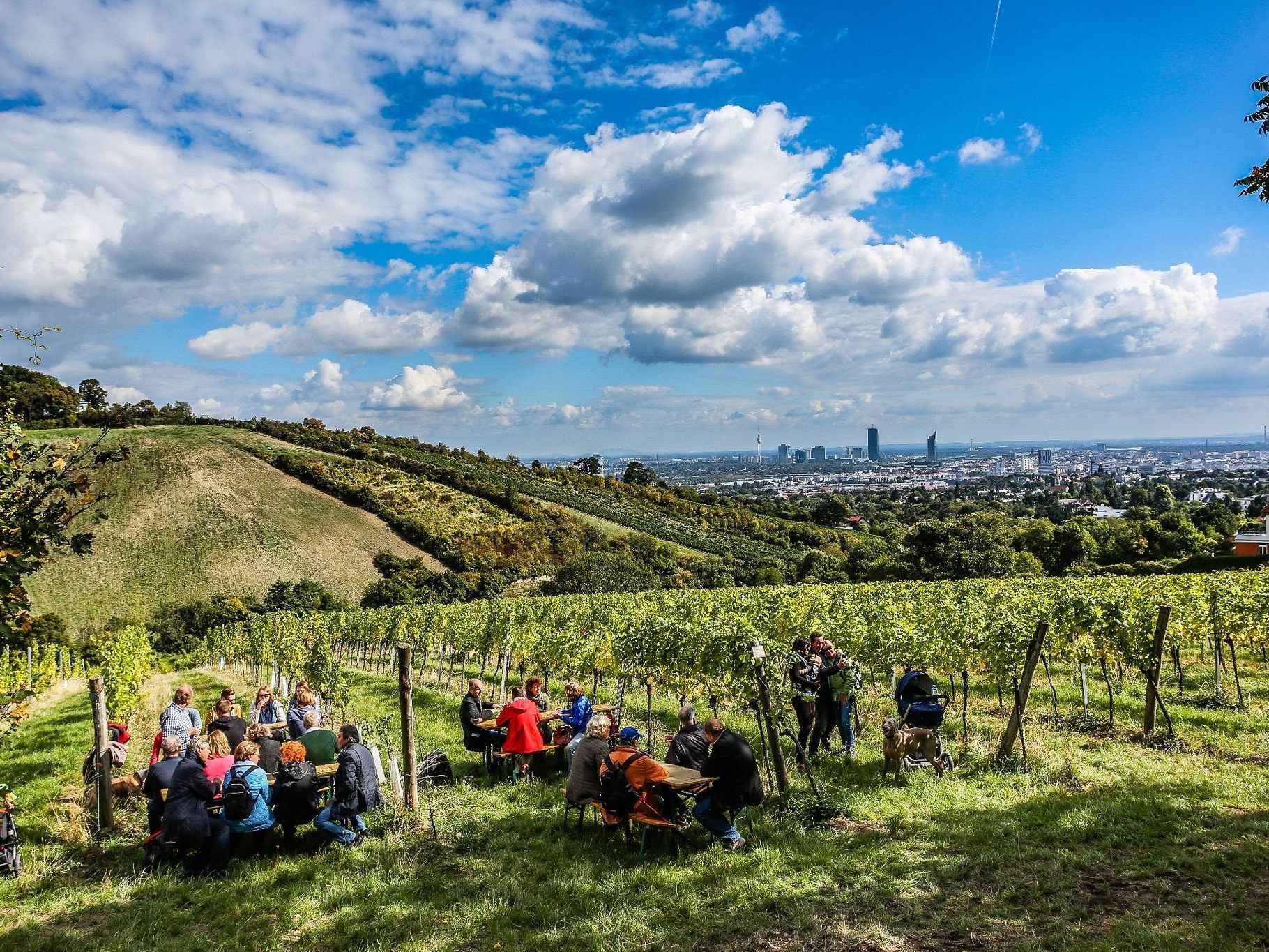 Ende September findet der traditionelle Weinwandertag statt.