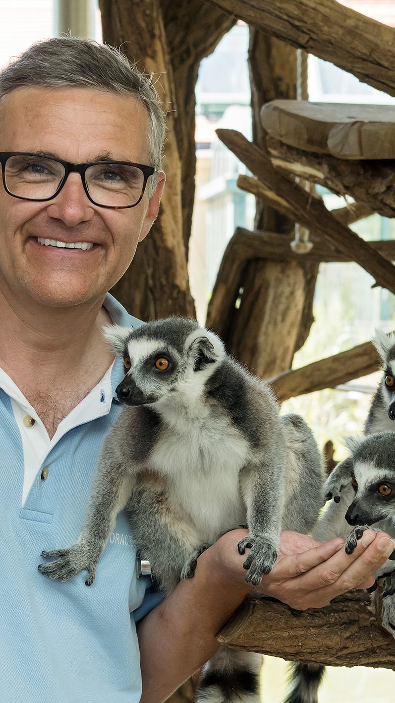 Thomas Voracek ist seit 20 Jahren Tierarzt im Tiergarten Schönbrunn.