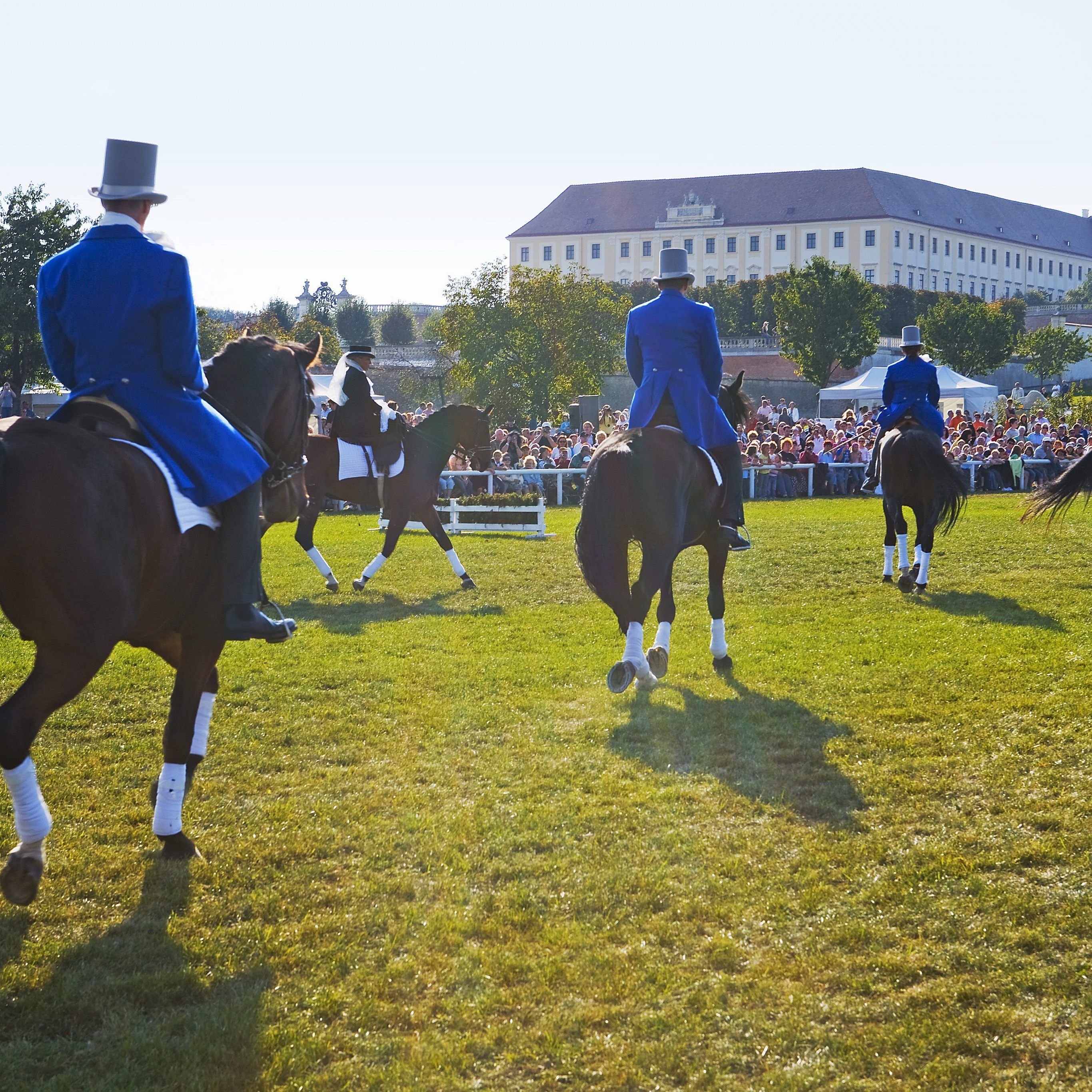 Am 31. August und 1. September findet wieder das große Pferdefest statt.
