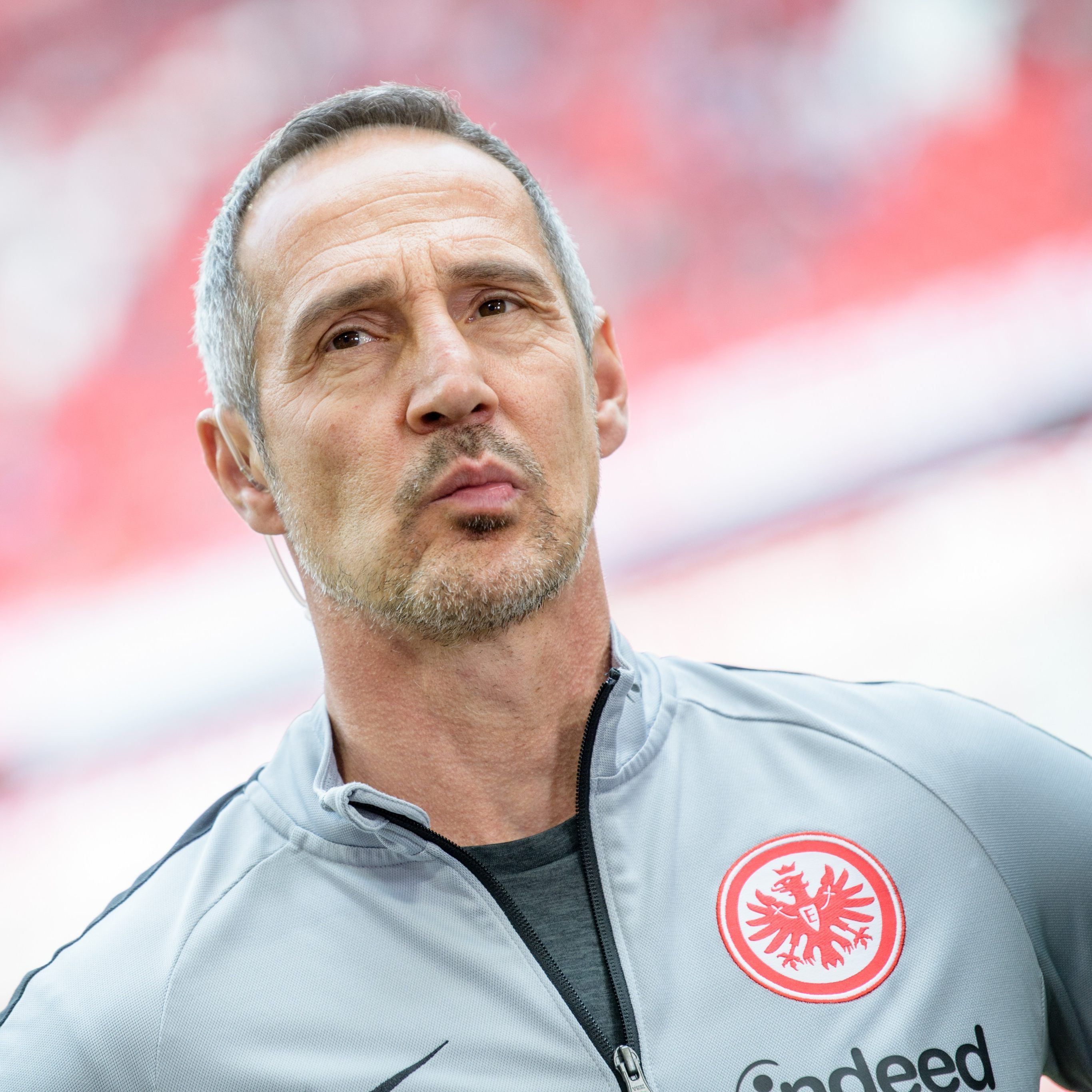Hütter darf mit seiner Eintracht wieder auf viel Unterstützung hoffen.