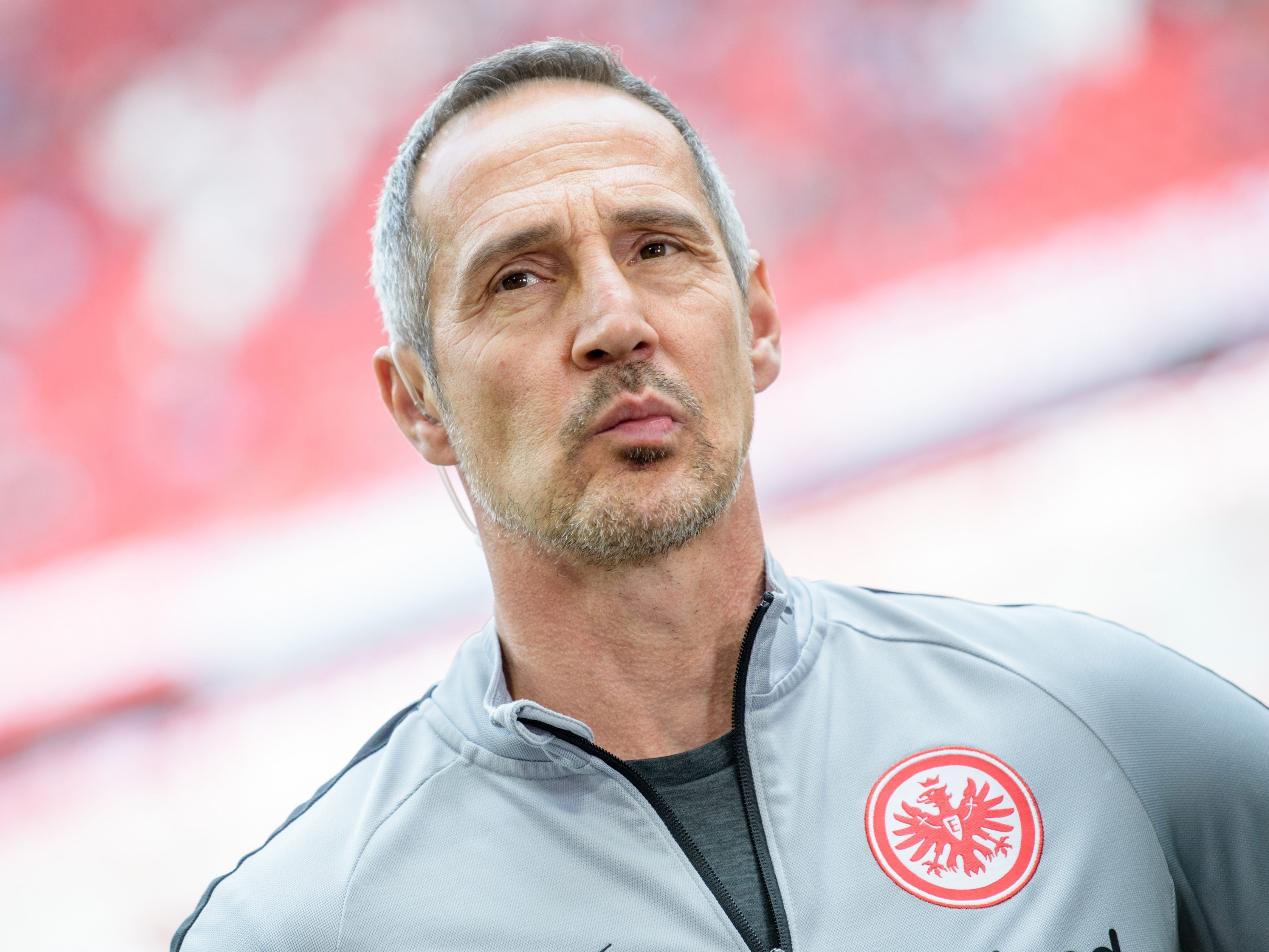 Hütter darf mit seiner Eintracht wieder auf viel Unterstützung hoffen.