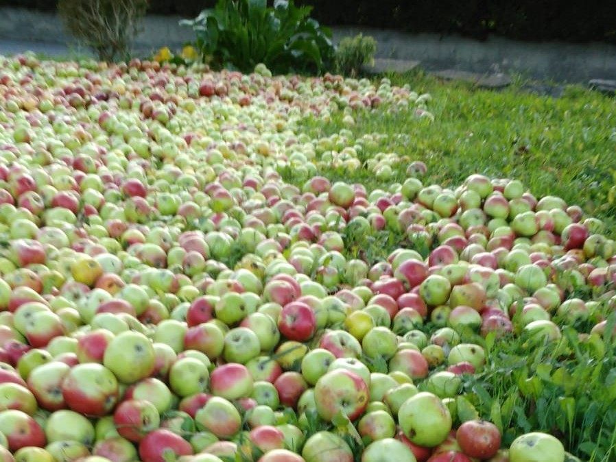 Obstbörse