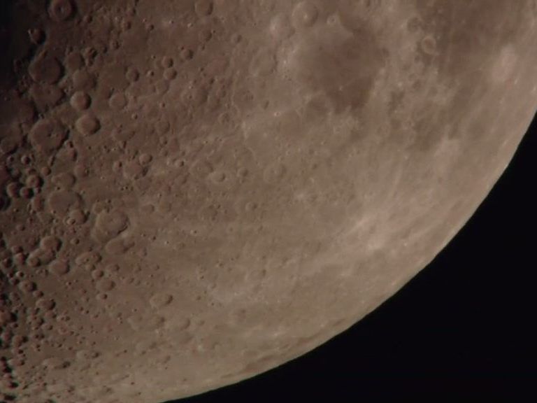 Wie konnten die Bärtierchen auf den Mond gelangen?