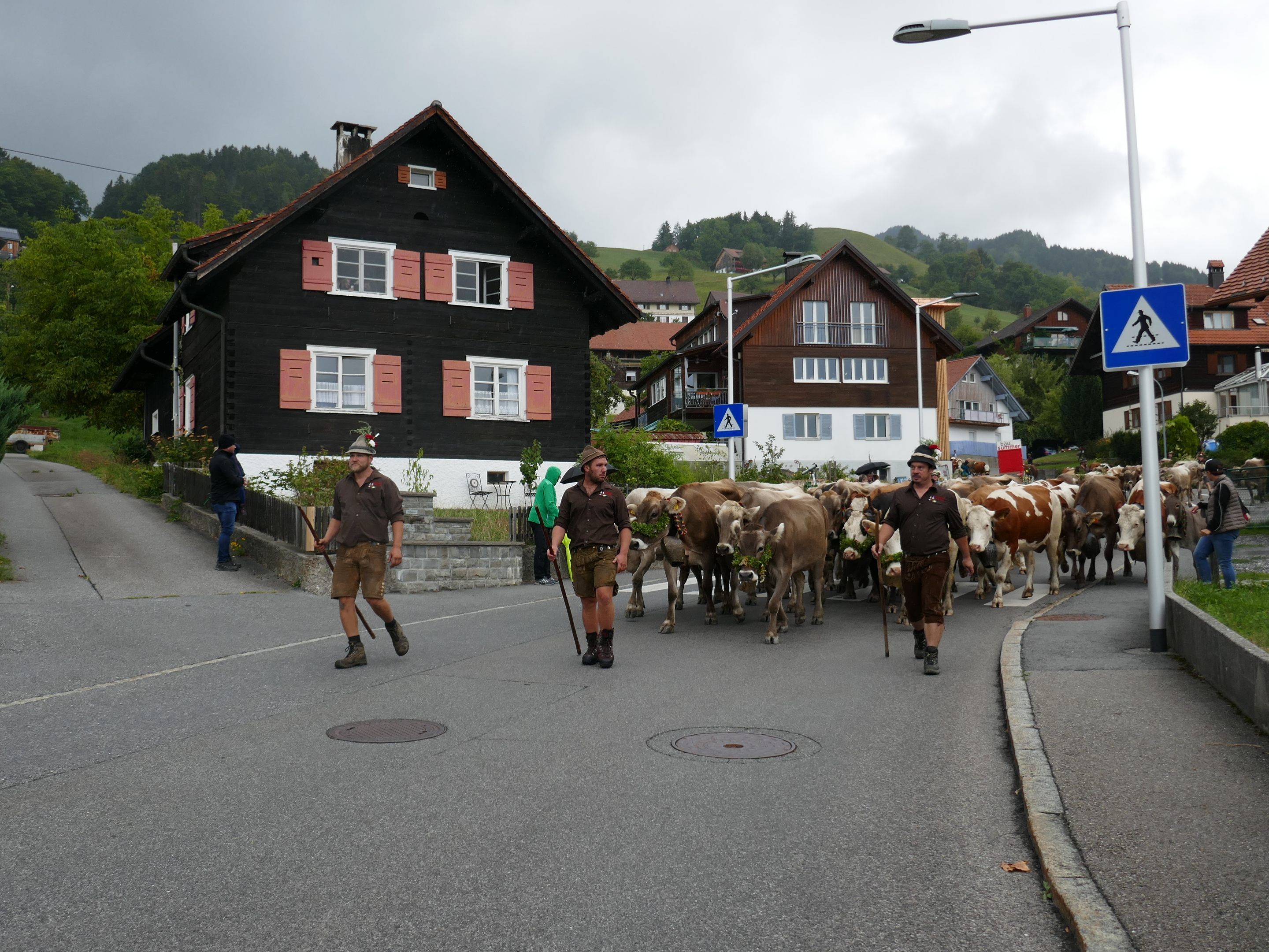 Alpabtrieb der Milchkühe am Samstag, 7. September - 13 Uhr.