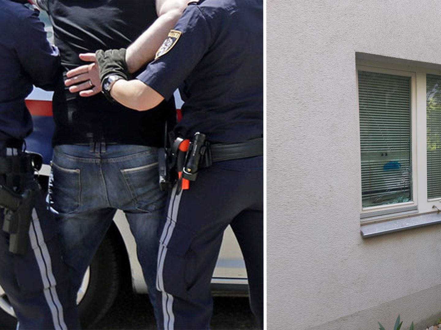 Der Randalierer zeigte sich anhaltend aggressiv, weshalb er in Wien in eine Gummizelle gebracht wurde.