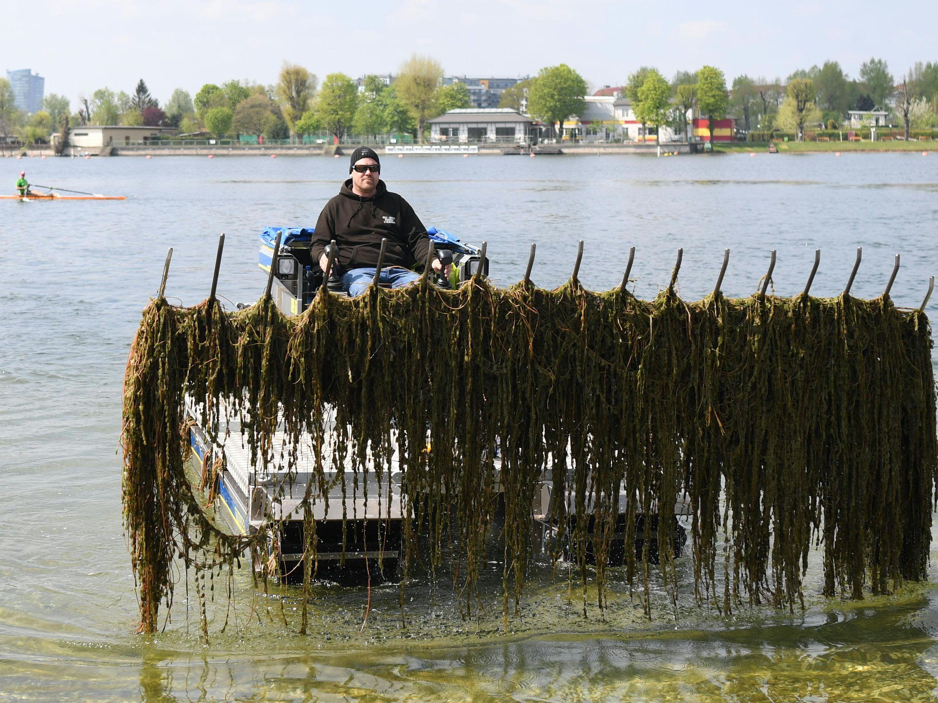 Die Mähboote holen jedes Jahr Tausende Tonnen an Pflanzen aus der Donau. Die Mähboote holen jedes Jahr Tausende Tonnen an Pflanzen aus der Donau.