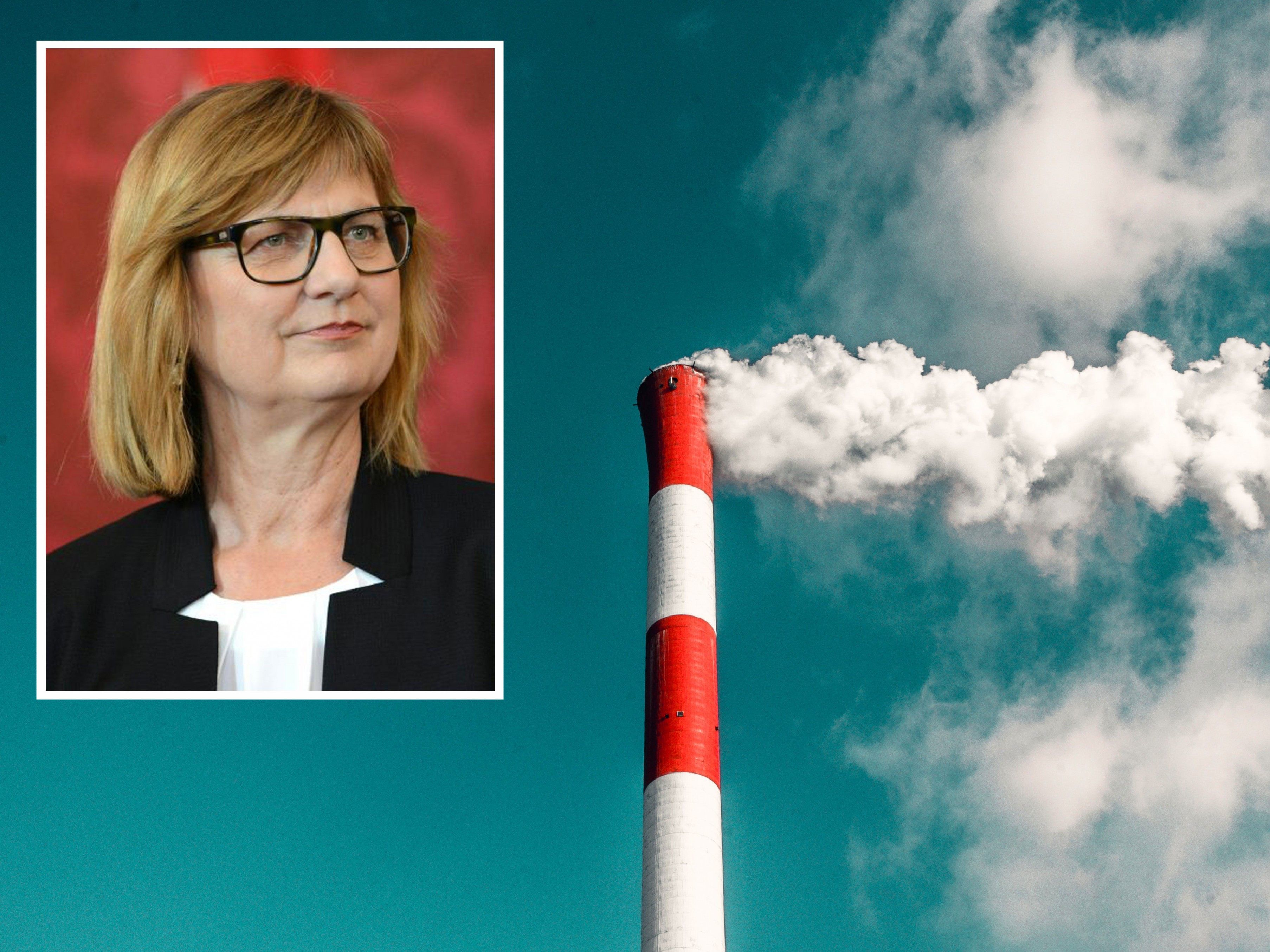 Umweltministerin Maria Patek