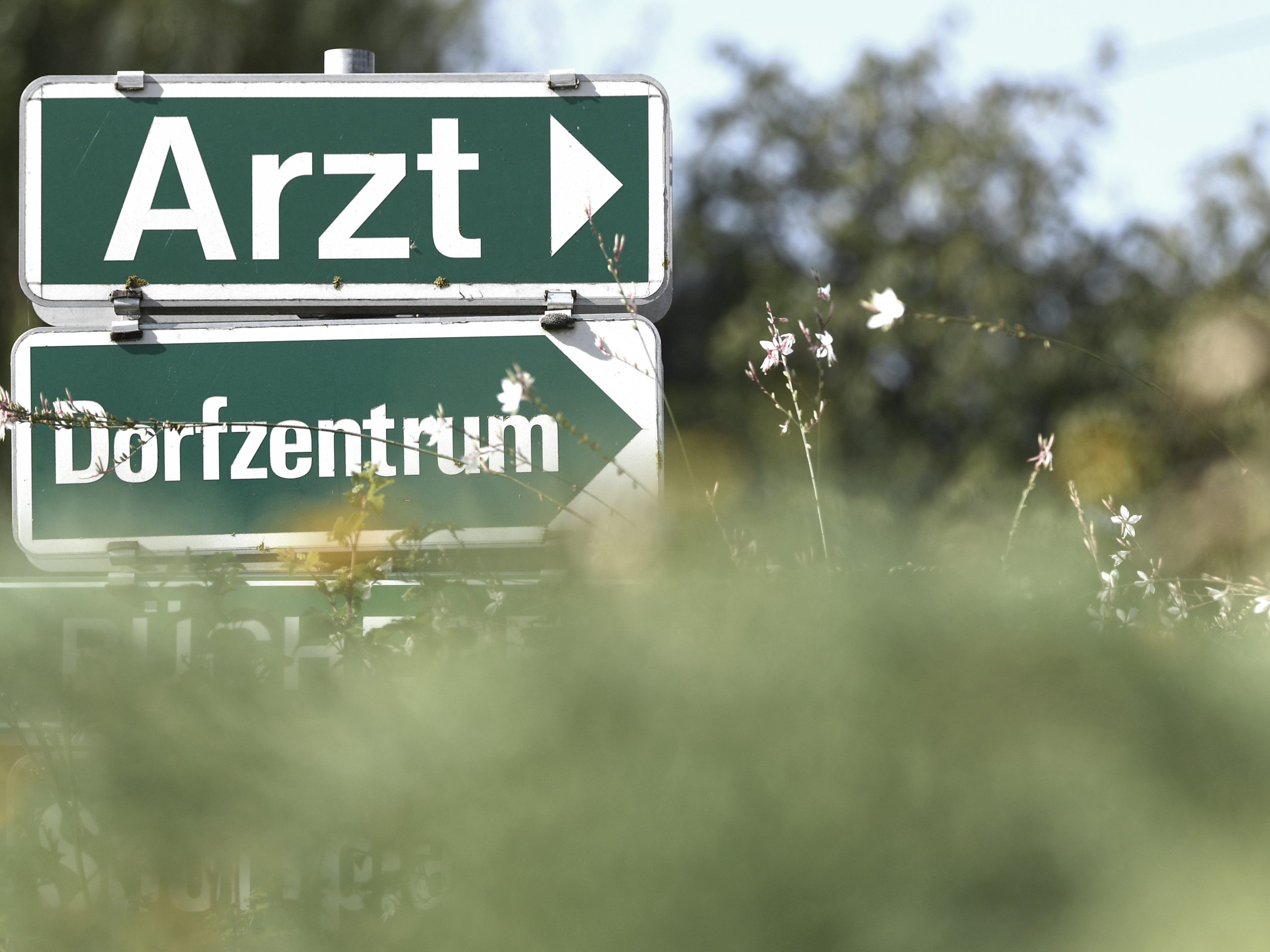 Die SPÖ will die Wartezeiten auf Arzttermine beschränken. Die SPÖ will die Wartezeiten auf Arzttermine beschränken.