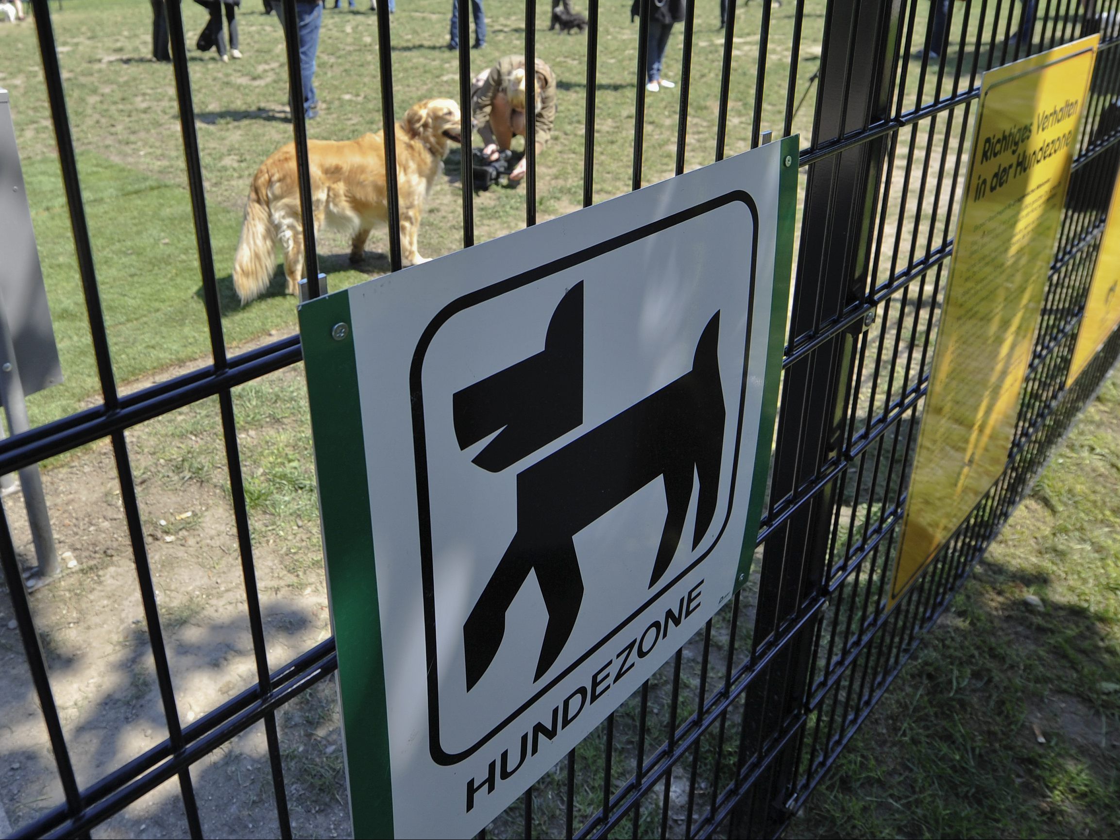 Die Tierbesitzer konnten die Hundezone nicht verlassen.