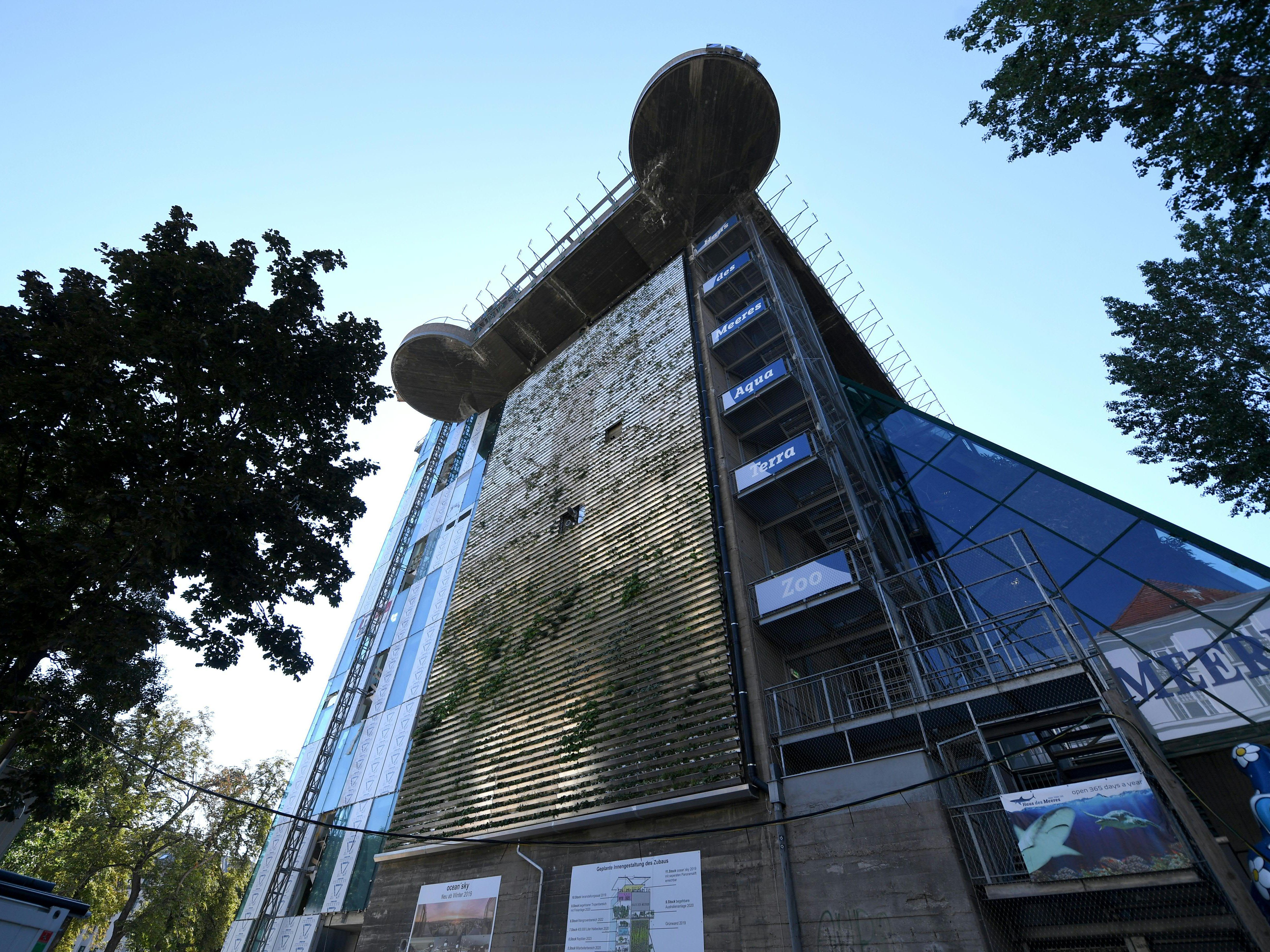 Eine Pflanzenwand wird das "Haus des Meeres" in Wien zieren. Eine Pflanzenwand wird das "Haus des Meeres" in Wien zieren.