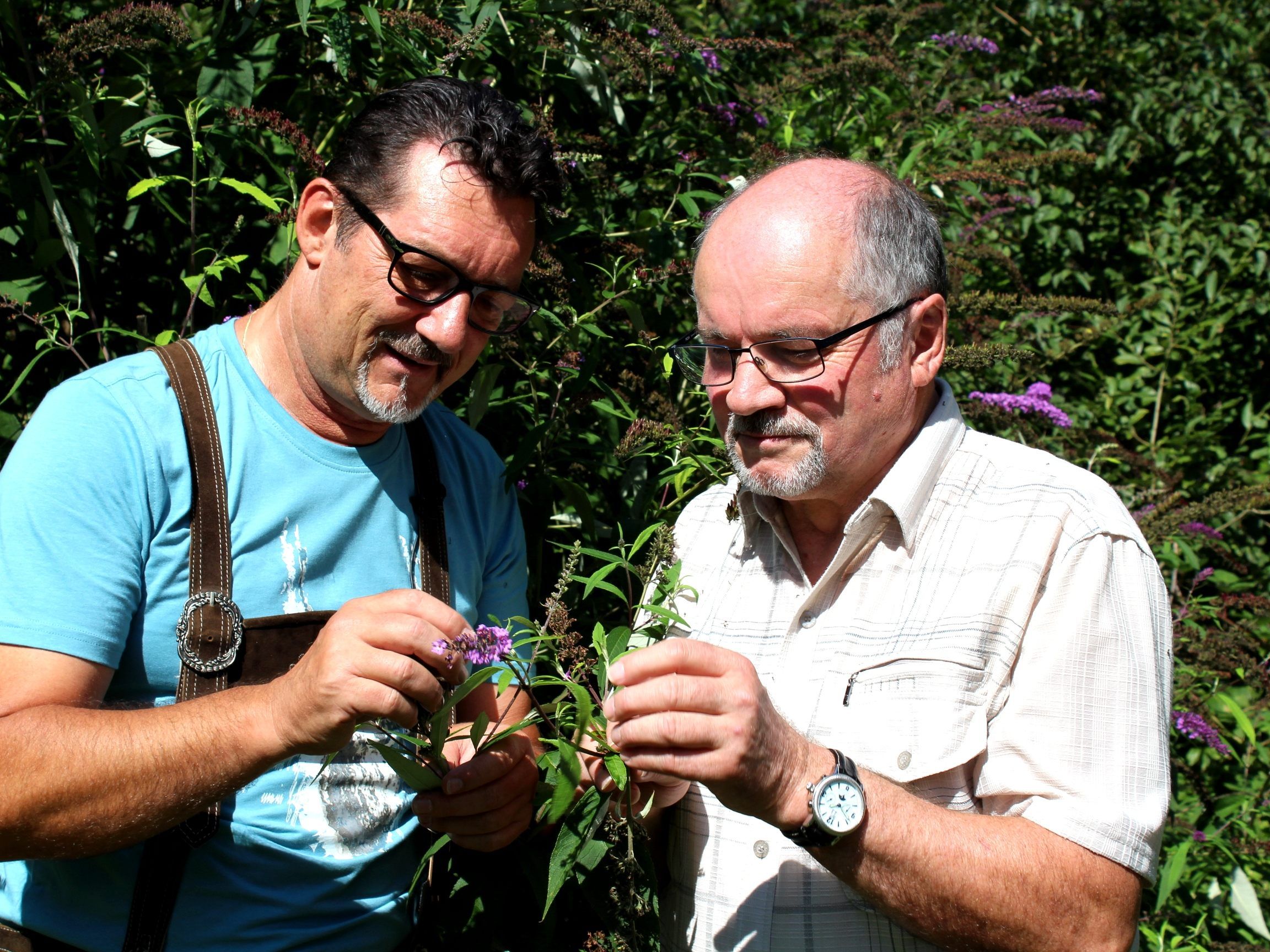 Naturheiltherapeut Anton Hartinger ist bei Andreas Seeburger zu Gast in der TV-Sendung "us dr Gondl" am Muttersaberg