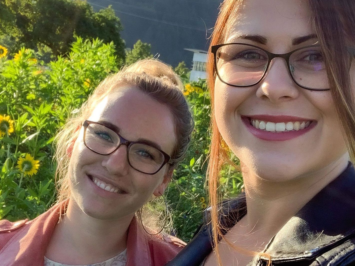 Anfang September stand die Blumenwiese von highspeed Internet in voller Blüte.