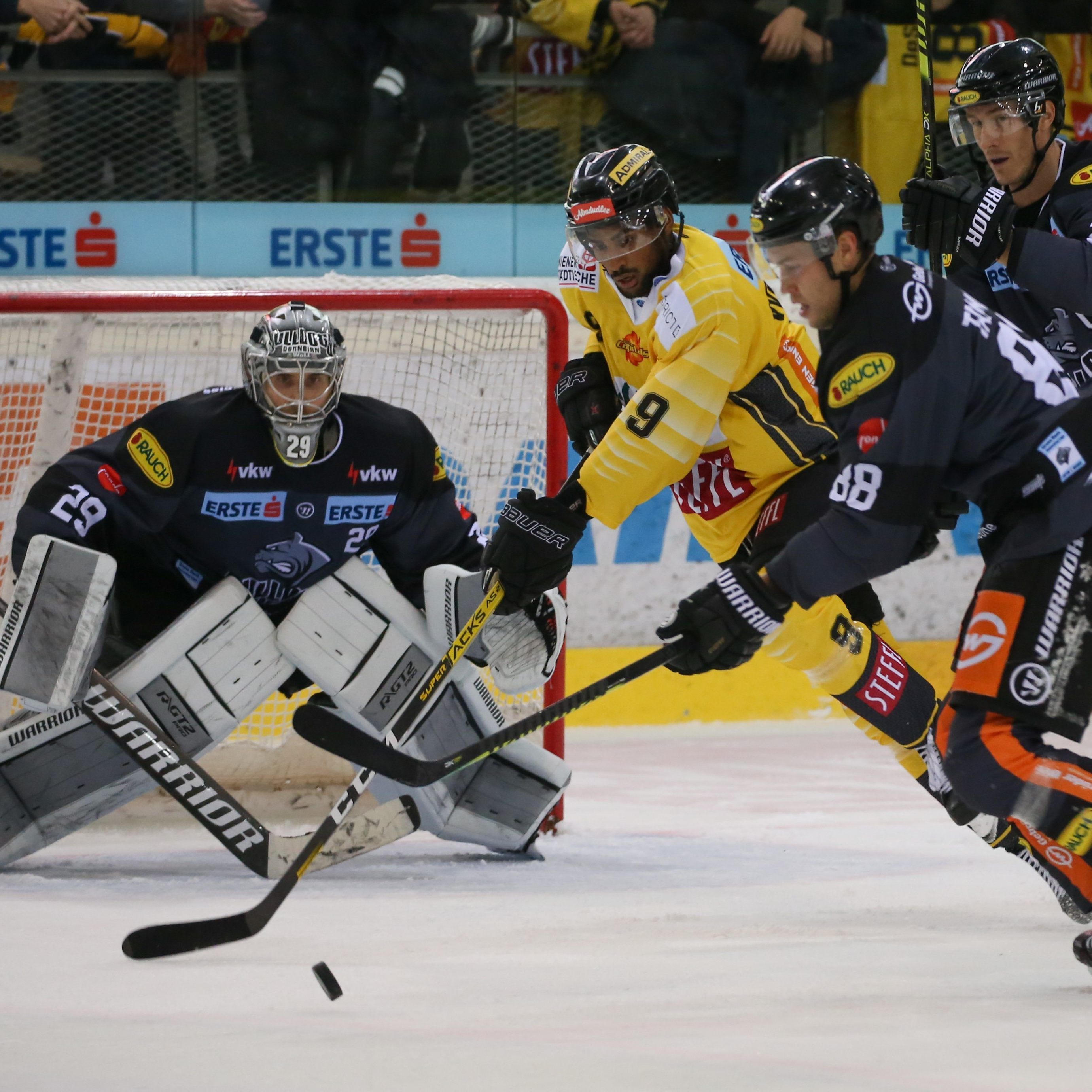 Nach hartem Kampf mussten sich die Bulldogs knapp geschlagen geben.