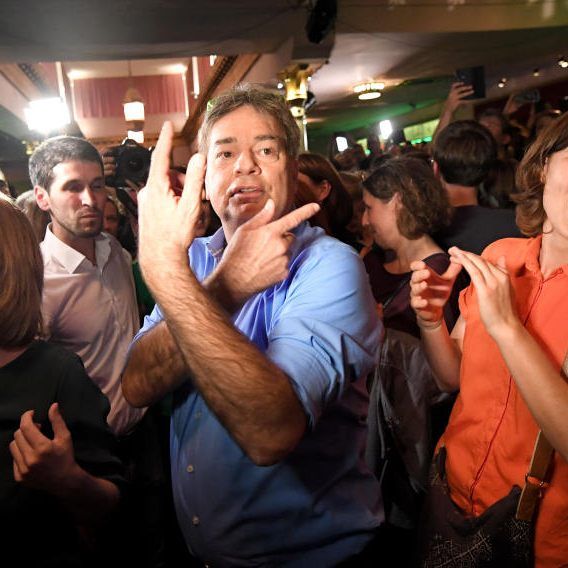 Die Grünen sind neben der ÖVP der große Wahlsieger der NR-Wahl 2019