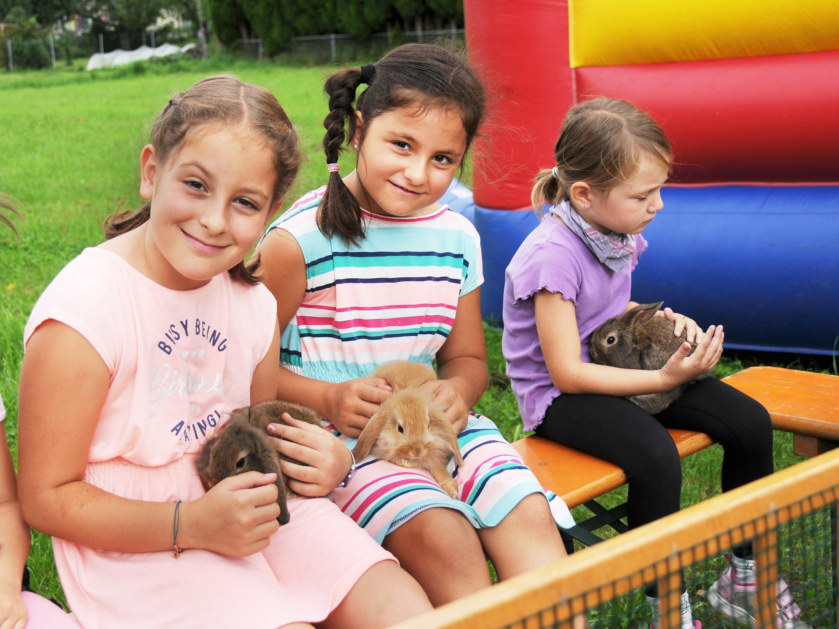 Der kleine Streichelzoo kam beim Höchsterströßlerfest hervorragend an.