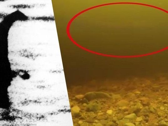 Könnte das das Monster von Loch Ness sein?