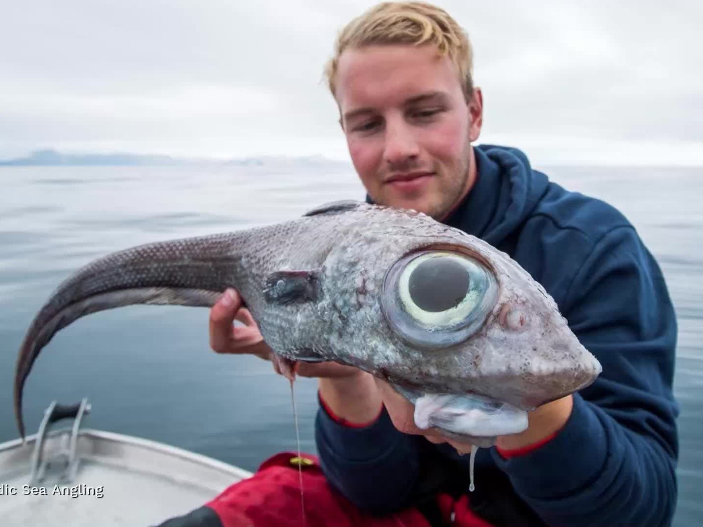 Oscar Lundahl mit seinem gefangenen Monsterfisch