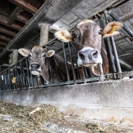 Der Worst Case ist eingetroffen