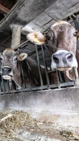 Der Worst Case ist eingetroffen