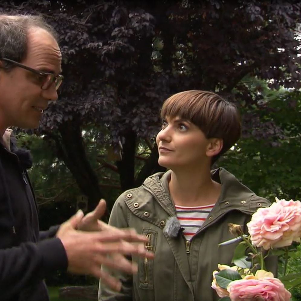 Rosen brauchen das ganze Jahr über Pflege.